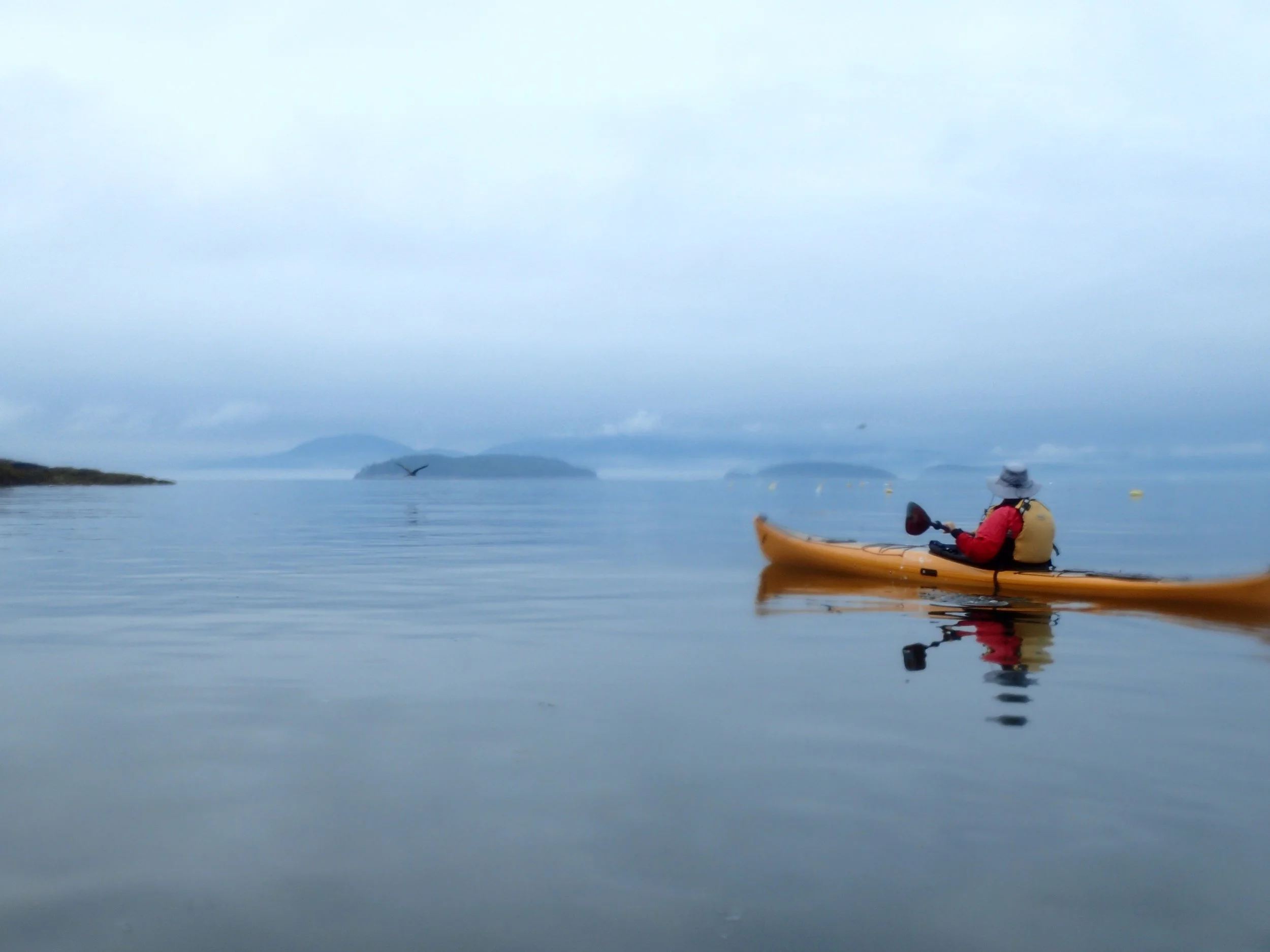 Yellow kayak on Frenchman Bay with Fog