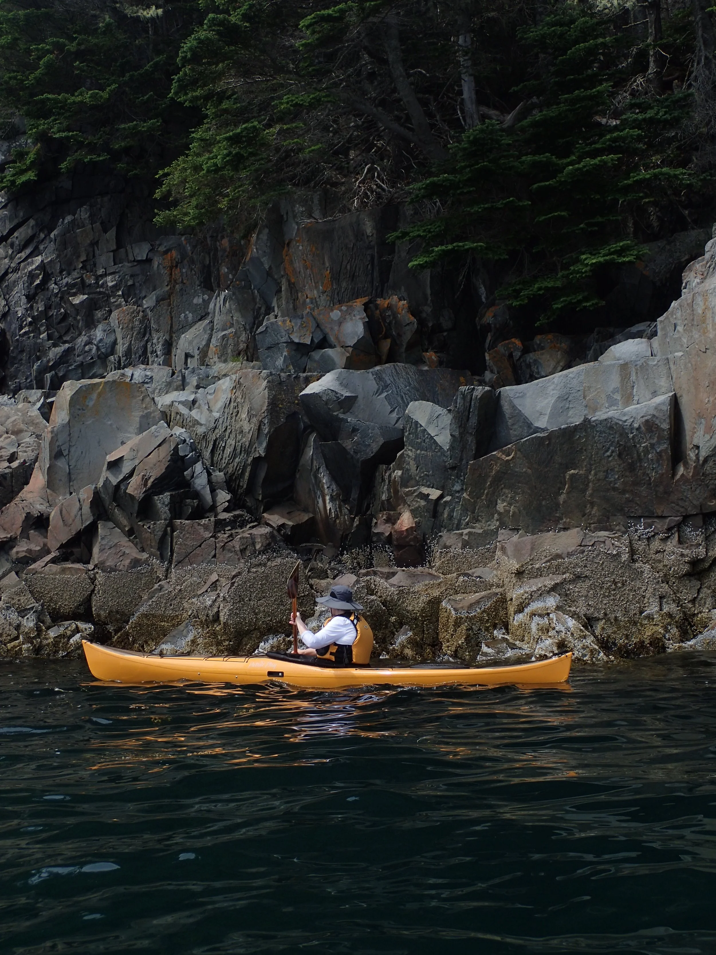 Person kayaking near rocky shoreline with trees and cliffs in background.