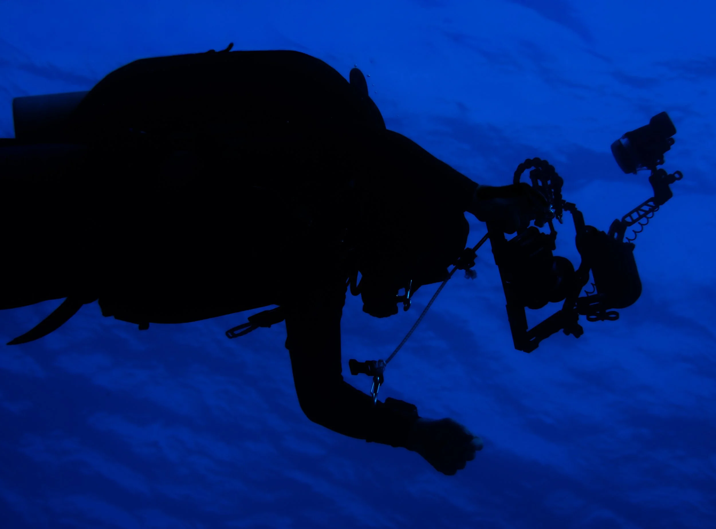 Assignment: silhouette
