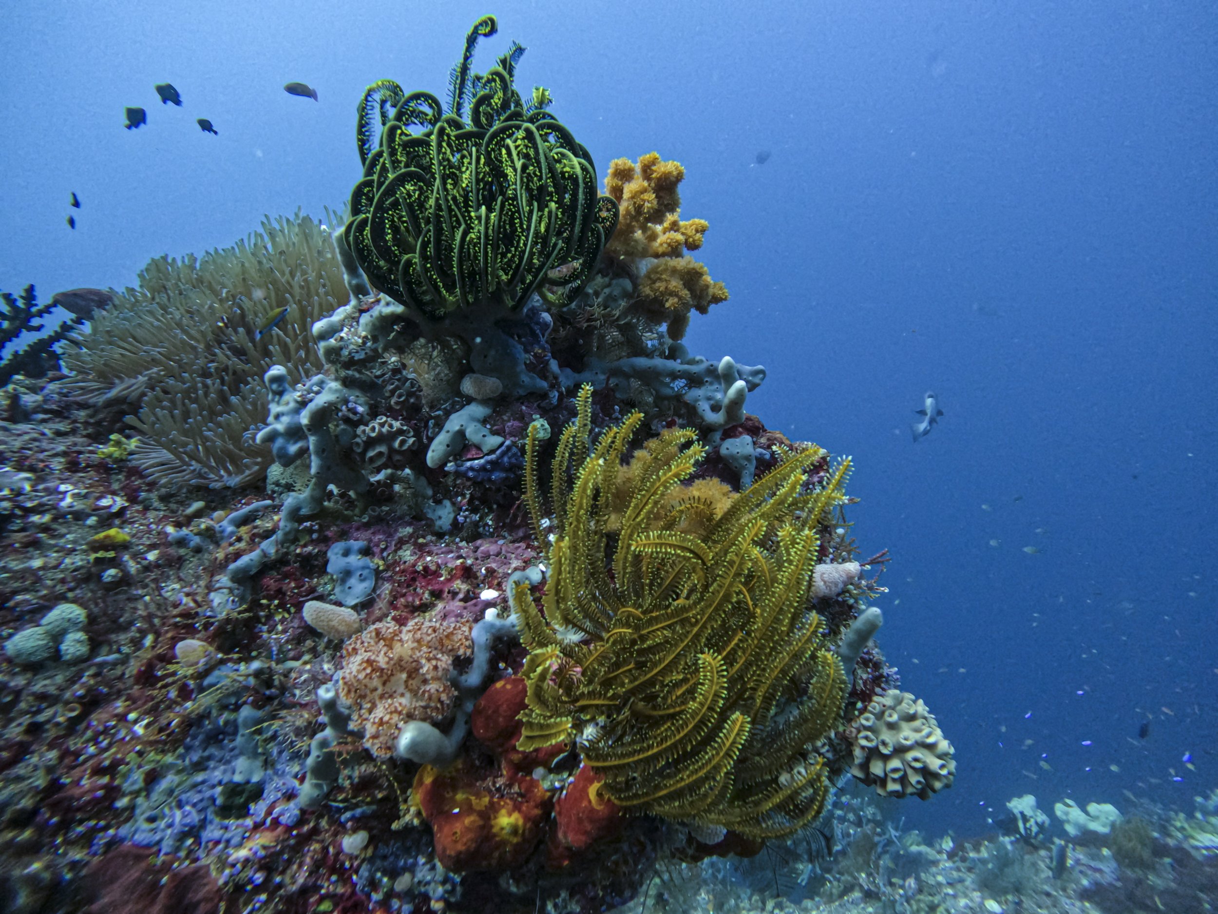 GPTempDownload 3.jpg