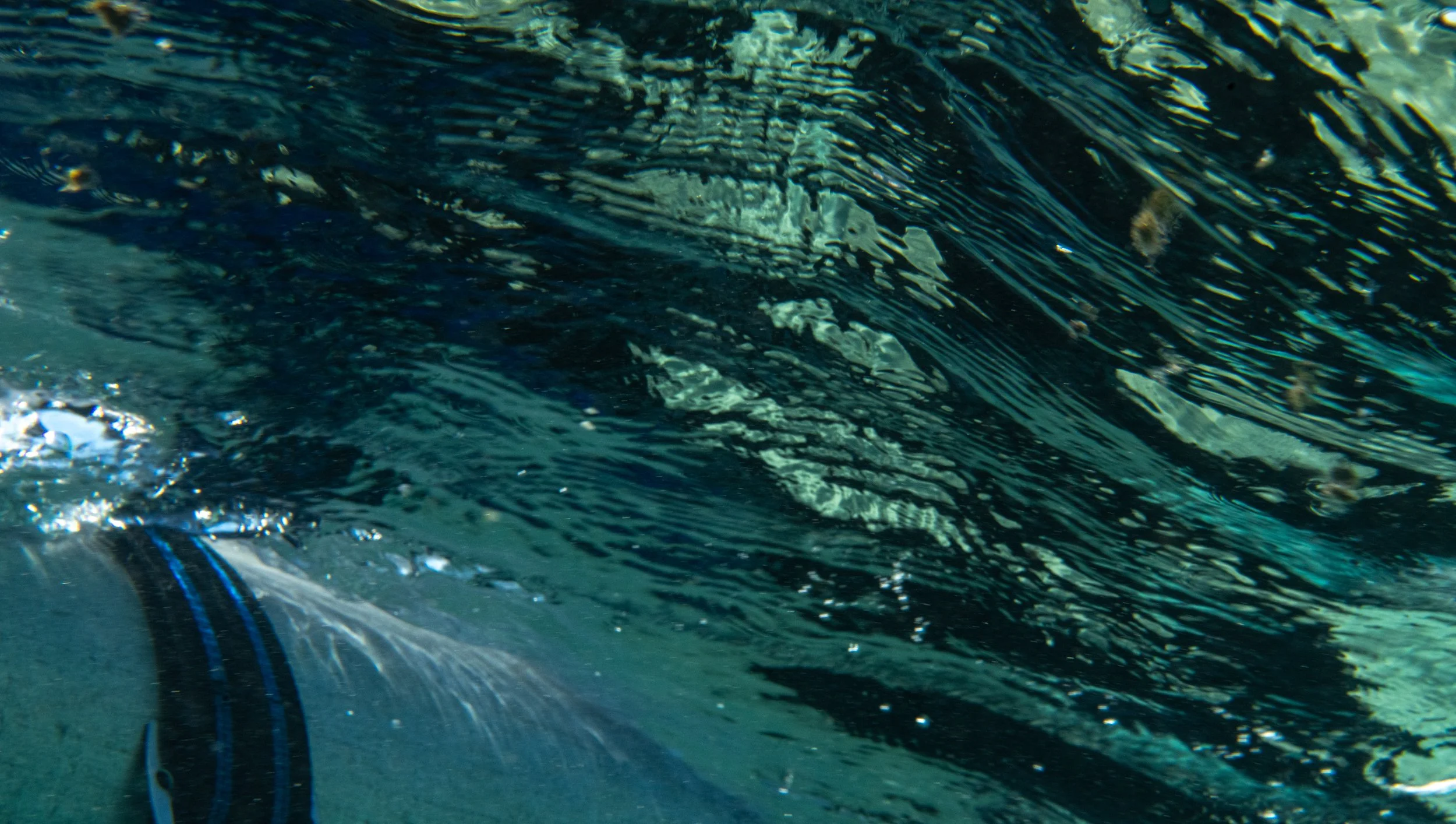 Assignment: reflections in the surface. Was hoping to get the tank reflected... the sea ws too busy.
