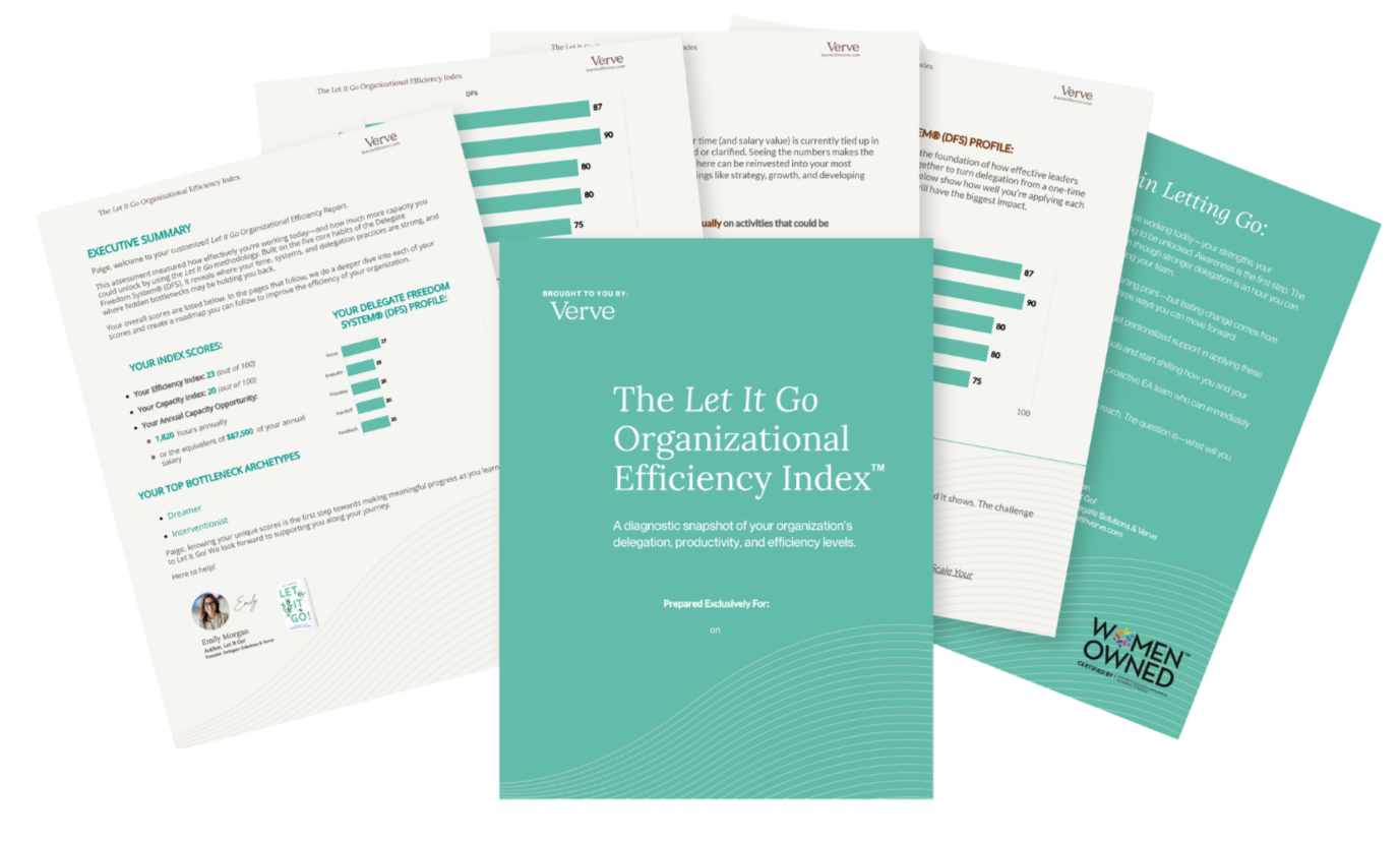 delegation assessment, delegation training, leadership delegation, executive coaching, organizational efficiency, team capacity, Let It Go methodology, delegate freedom system, leadership development, L&D diagnostic