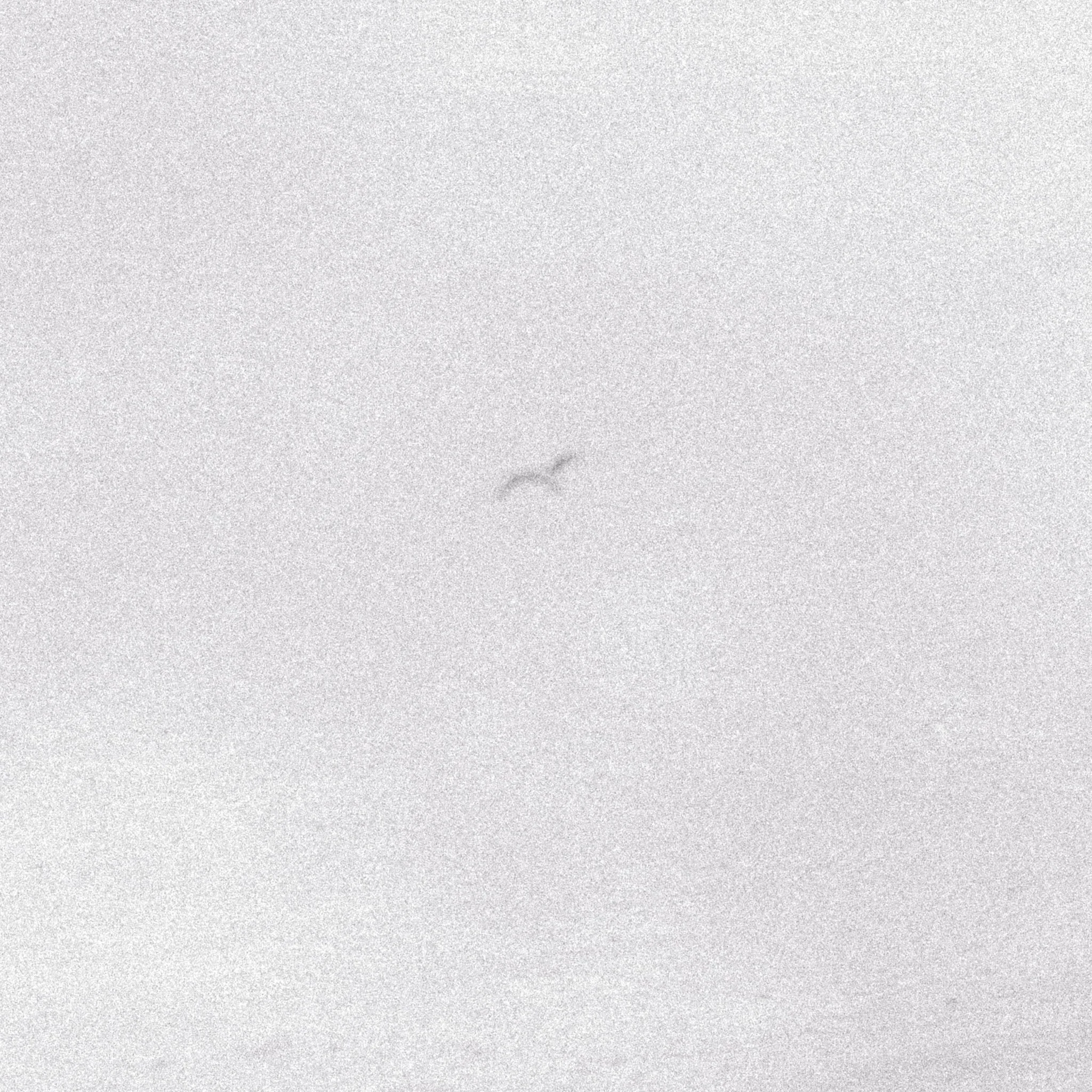 message in a bottle (2021)