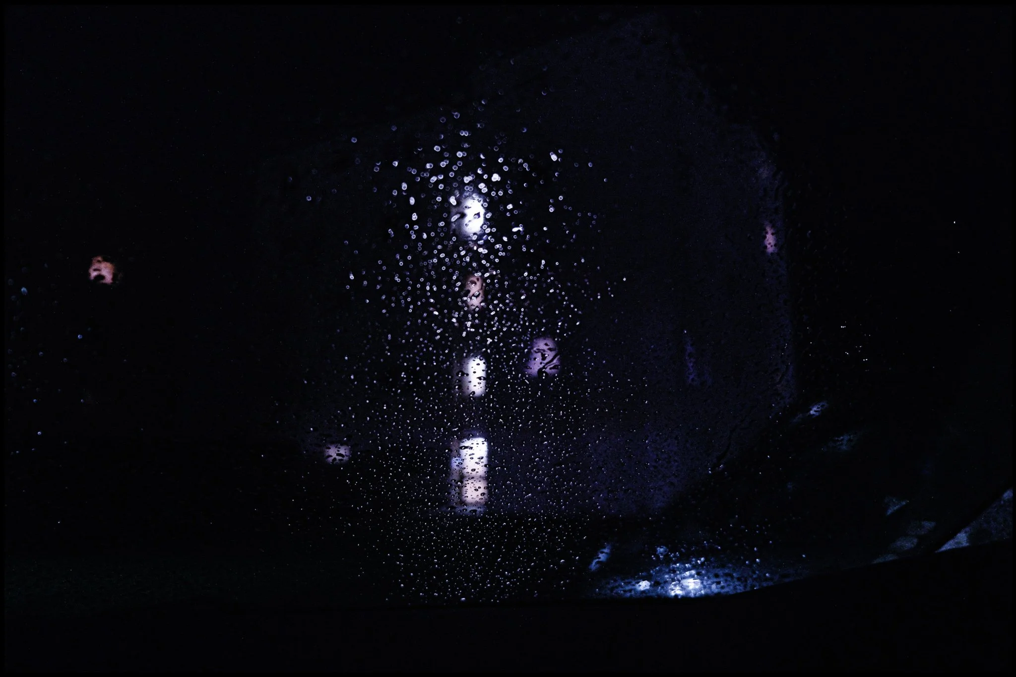 the long way home (2021)