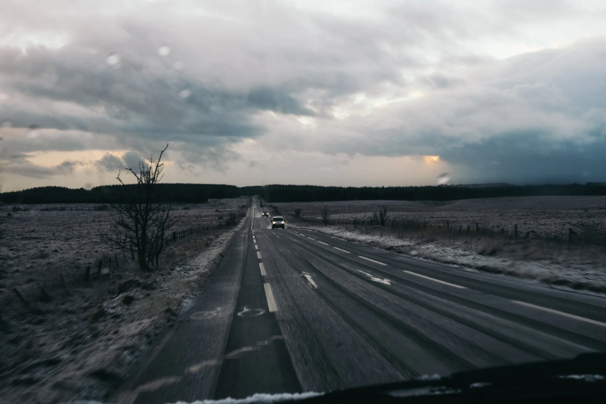 the long way home (2021)