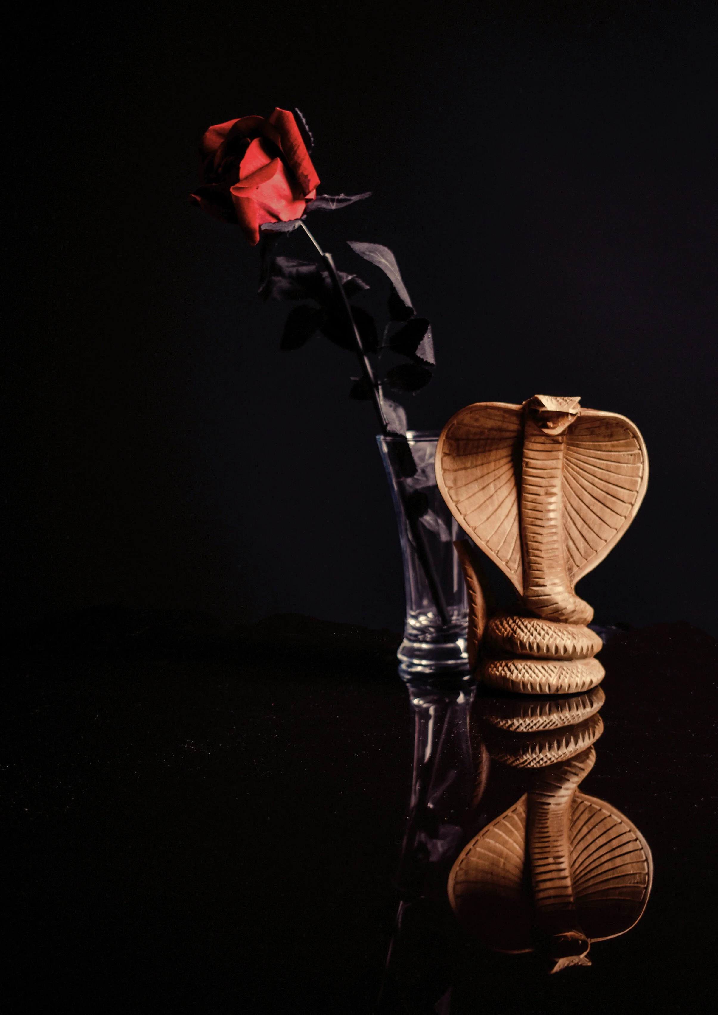 "Snake & Rose"