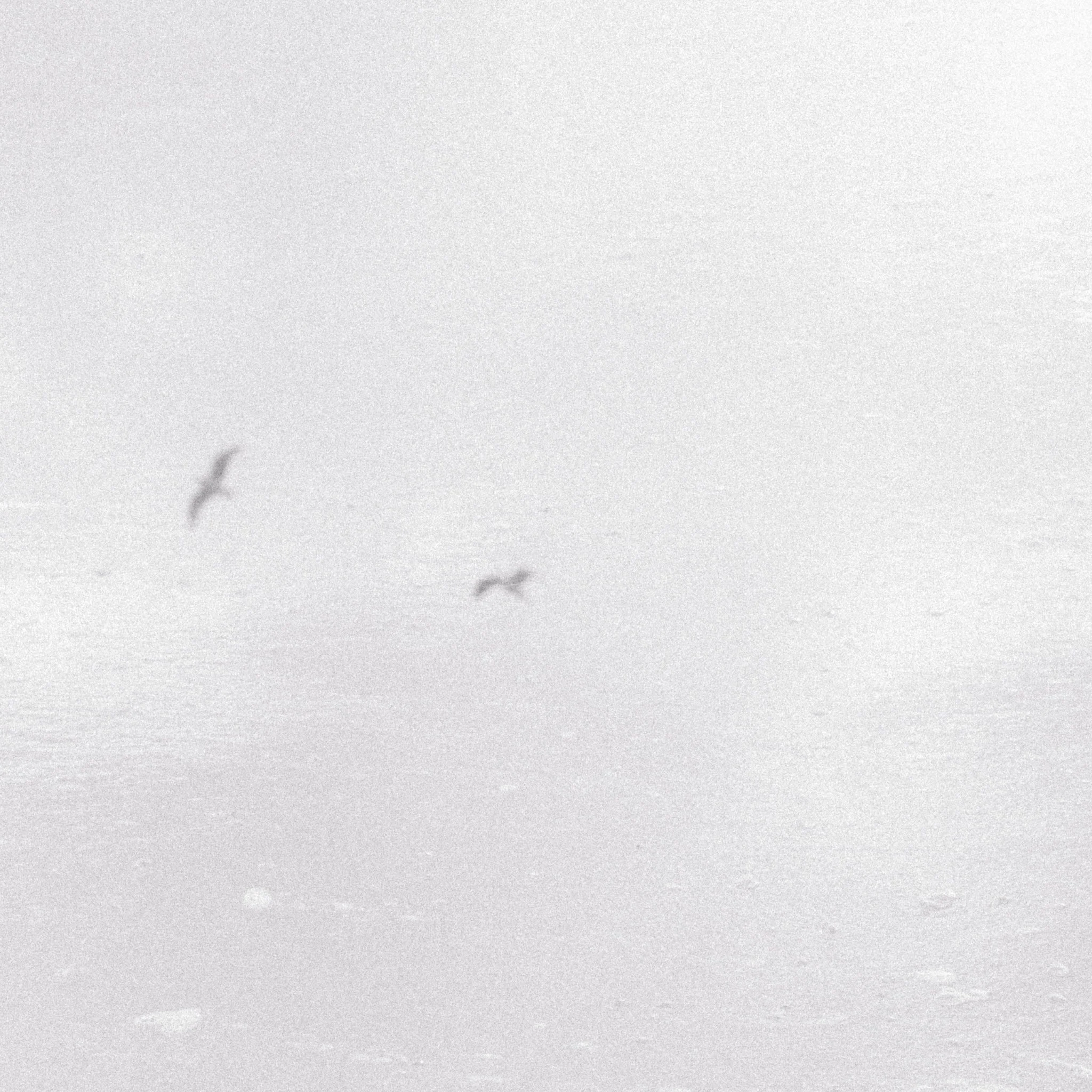 message in a bottle (2021)