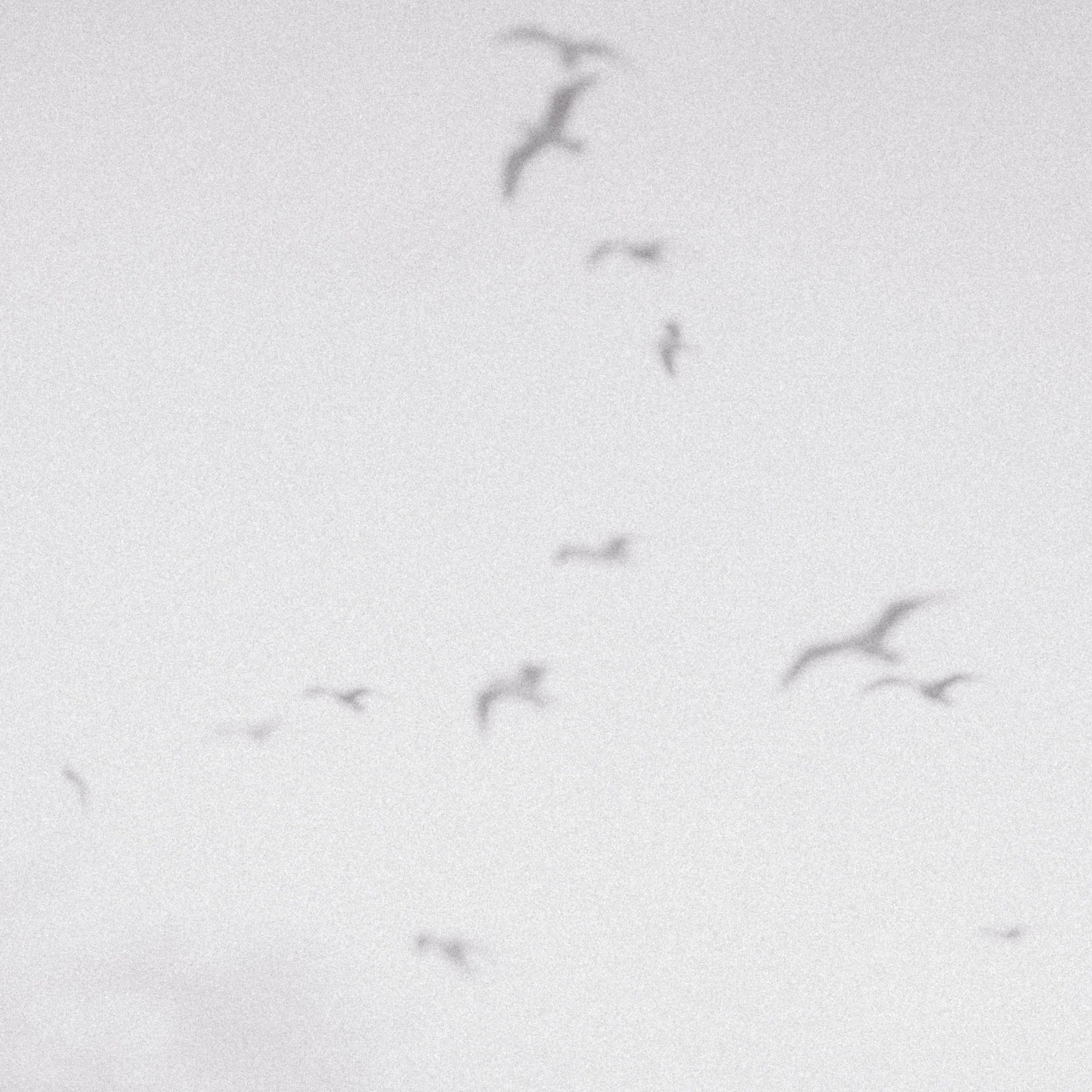 message in a bottle (2021)