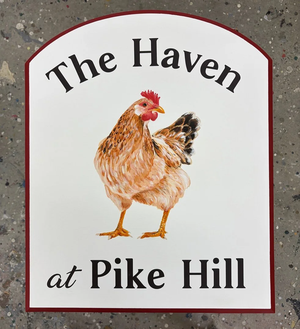 Haven.jpg