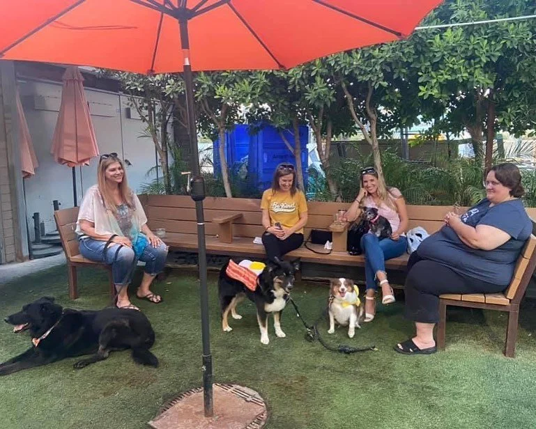 Doggie Meetup at OHSO!