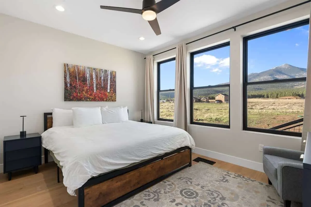 Main Character King 2.jpg