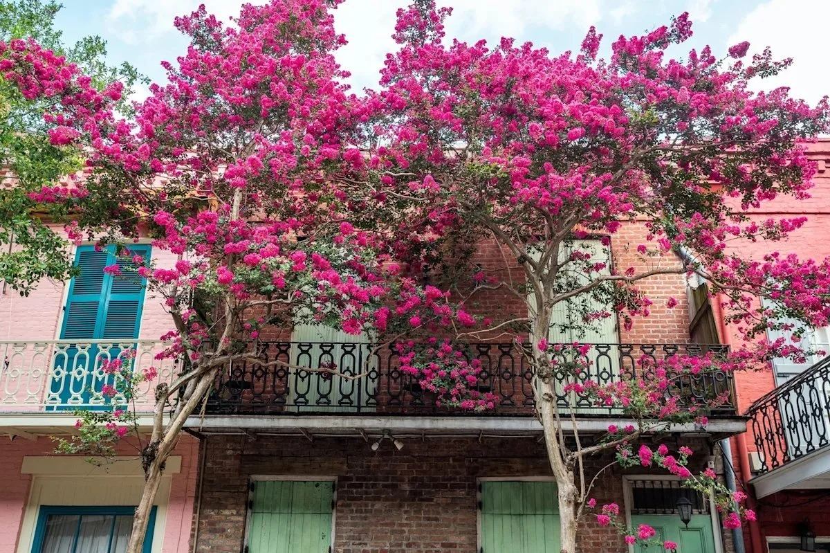 girls trip new orleans