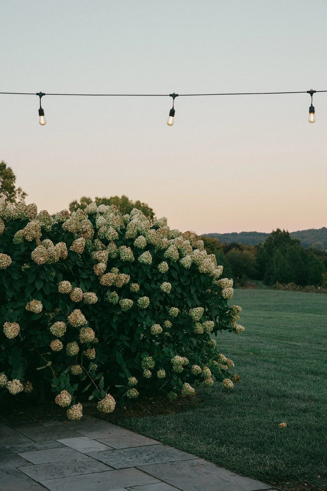 SimoneAdam_TheMarketatGrelen_Virginia_ridgeandramble-18494.jpg