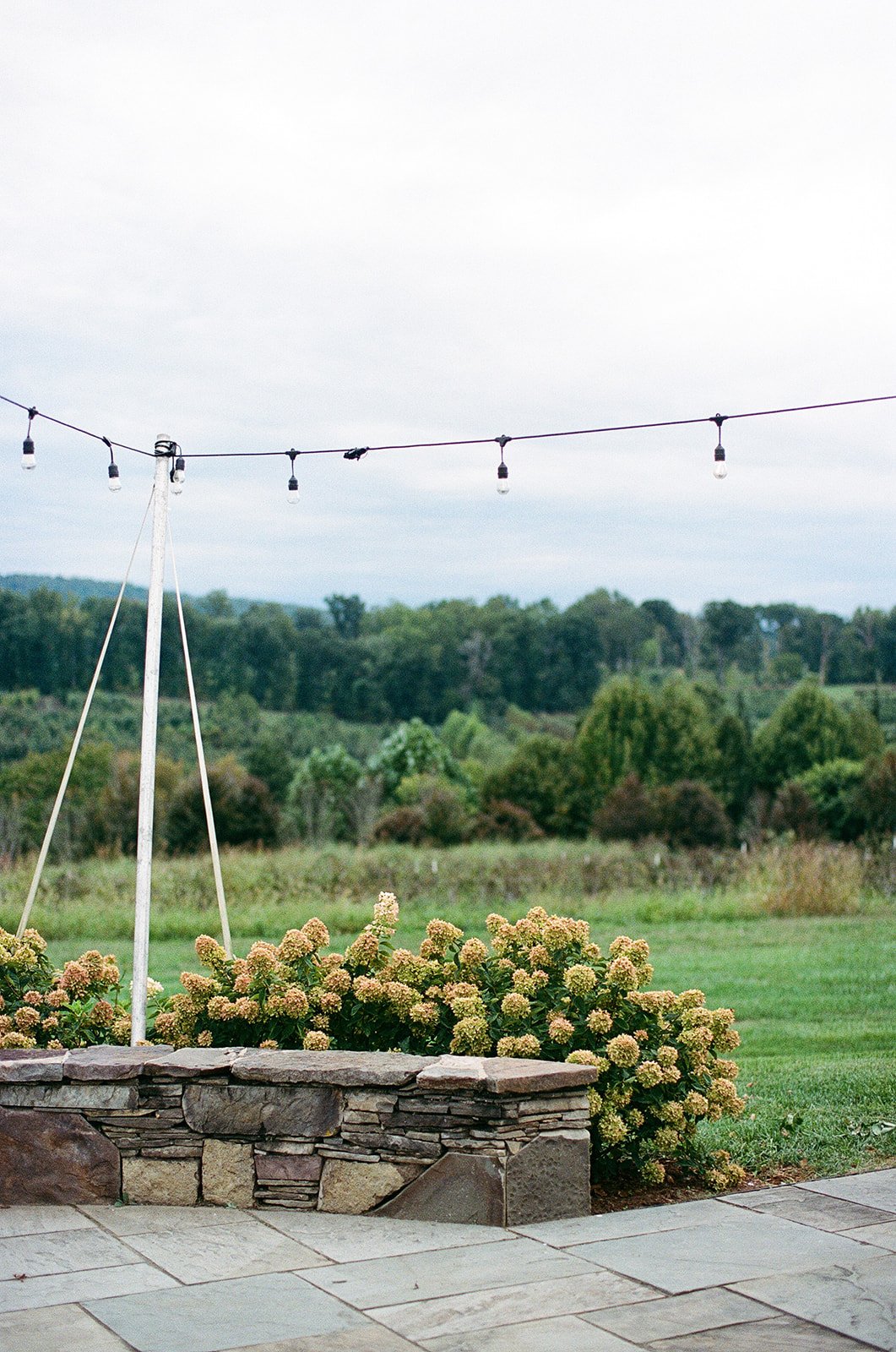 SimoneAdam_TheMarketatGrelen_Virginia_ridgeandramble-241010000299510002.jpg