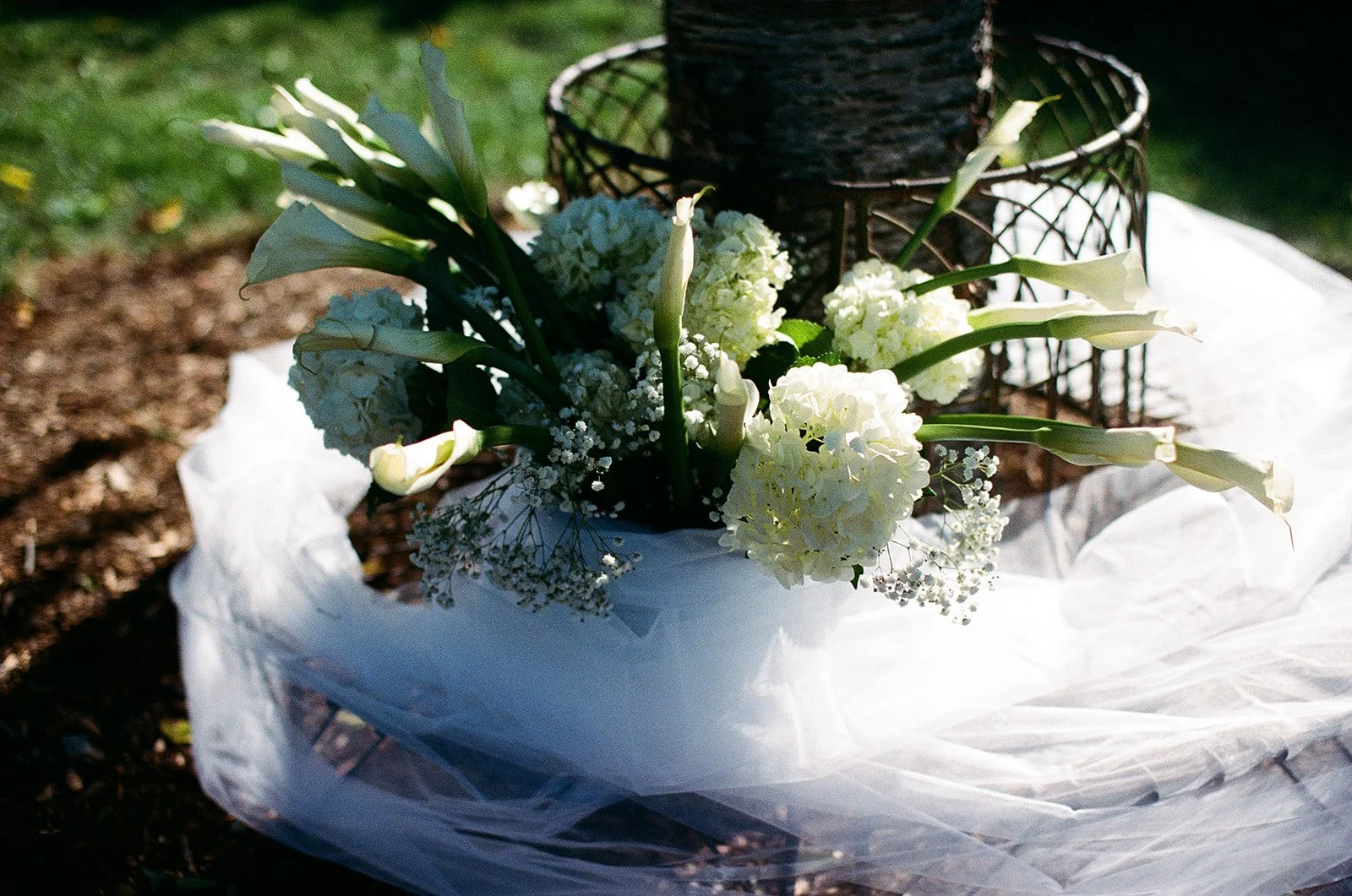 SimoneAdam_TheMarketatGrelen_Virginia_ridgeandramble-241010000299510034.jpg
