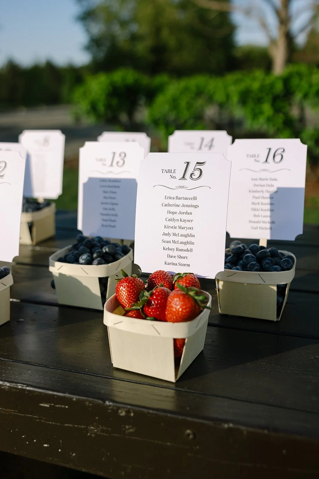 Kerry_Dan_TheMarketatGrelen_charlottesvillevirginia_wedding_photographer_thelehmancollective-7547.jpg