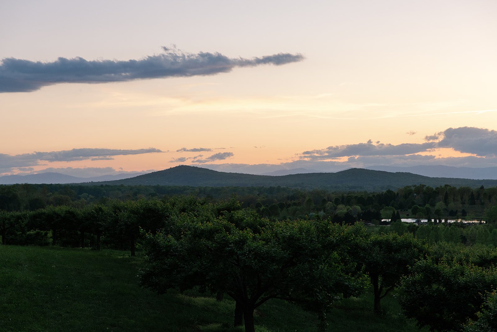 Kerry_Dan_TheMarketatGrelen_charlottesvillevirginia_wedding_photographer_thelehmancollective-8622.jpg