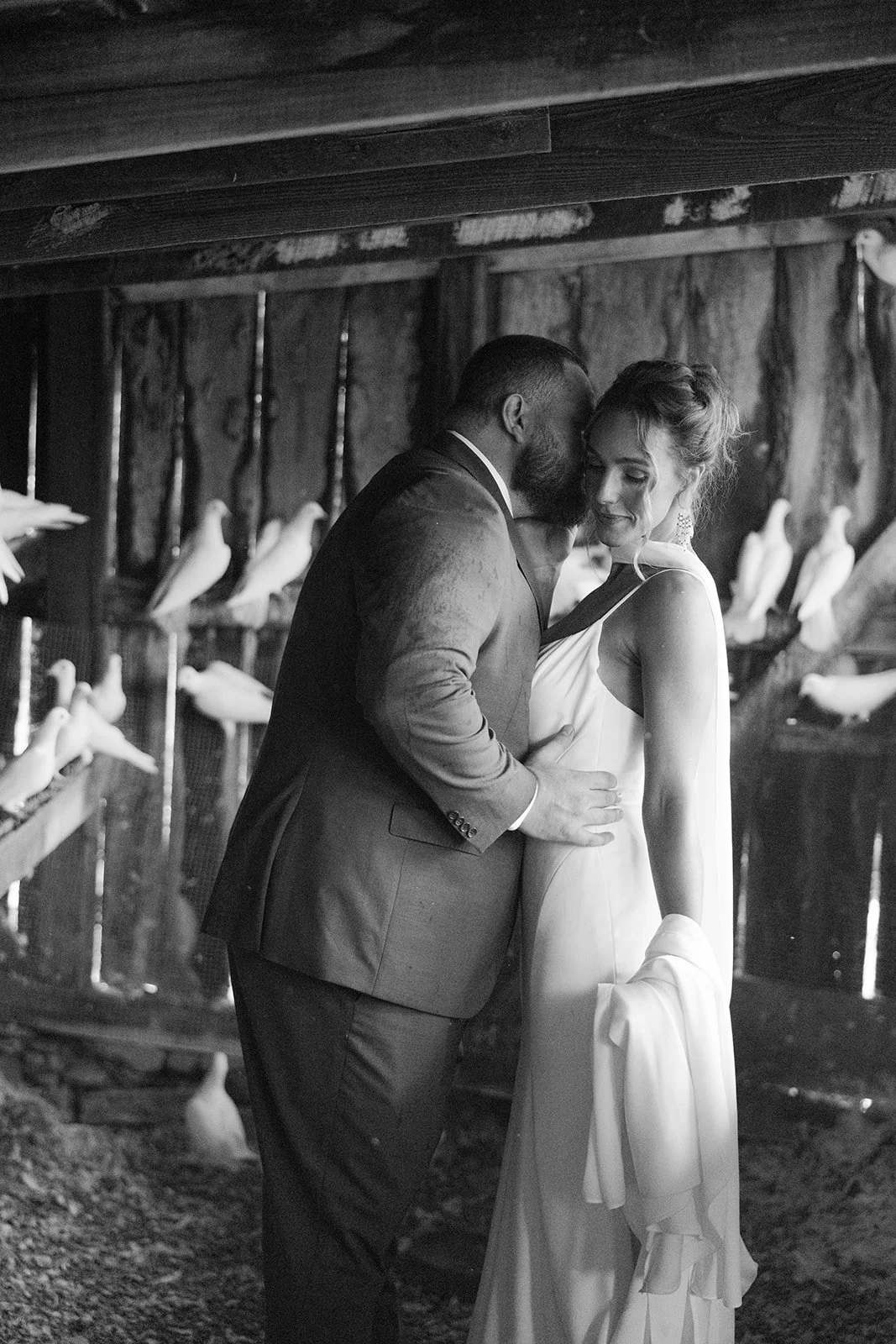 Lillie_Garrett_Wedding_BlueToadCidery_HighViewFarm_charlottesvillevirginia_wedding_photographer_thelehmancollective-0814.jpg