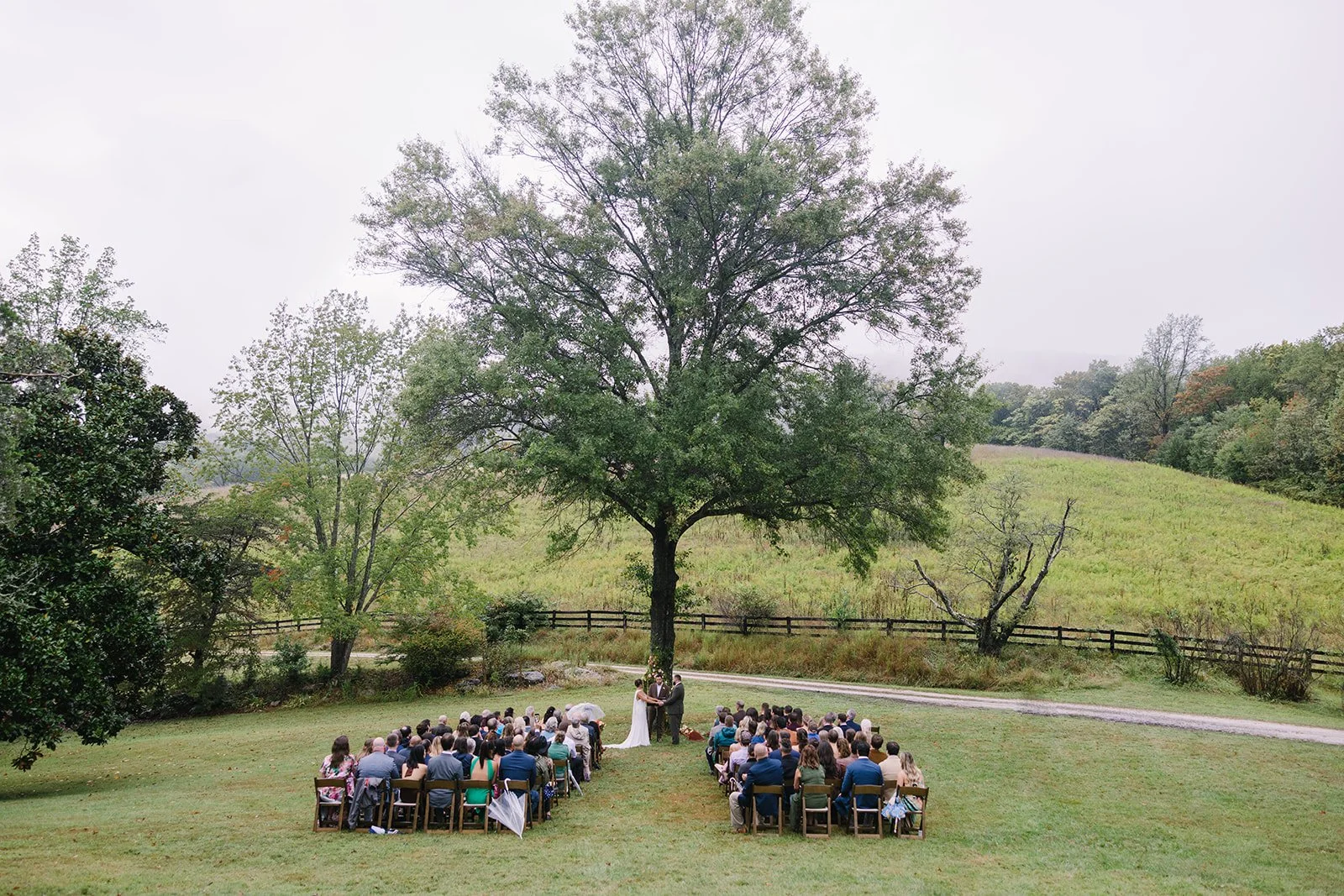 Lillie_Garrett_Wedding_BlueToadCidery_HighViewFarm_charlottesvillevirginia_wedding_photographer_thelehmancollective-1371.jpg