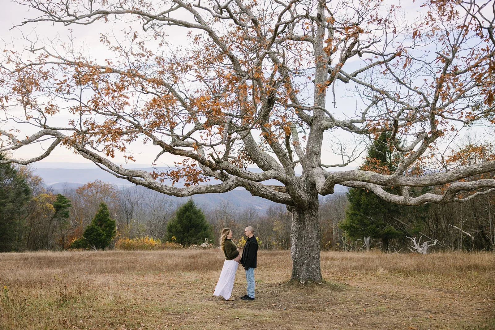 Lawson_maternity_charlottesvillevirginia_wedding_photographer_thelehmancollective-4580.jpg