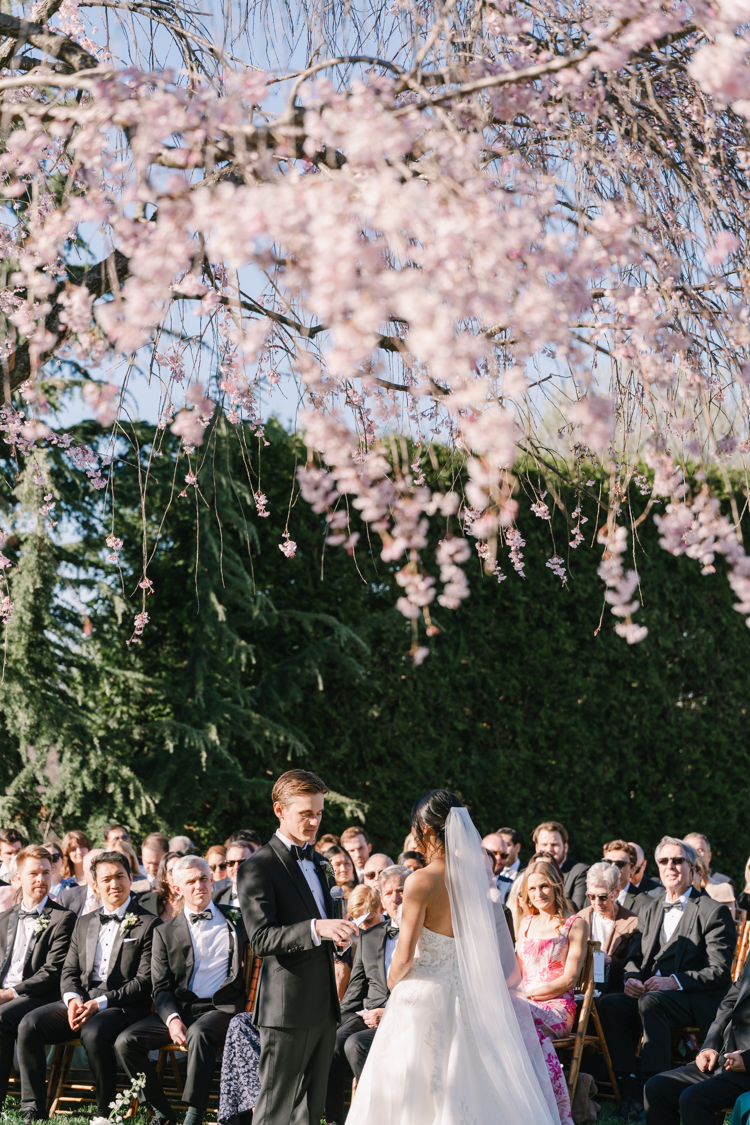 Laura_Matthew_wedding_charlottesvillevirginia_wedding_photographer_thelehmancollective-02293.jpg