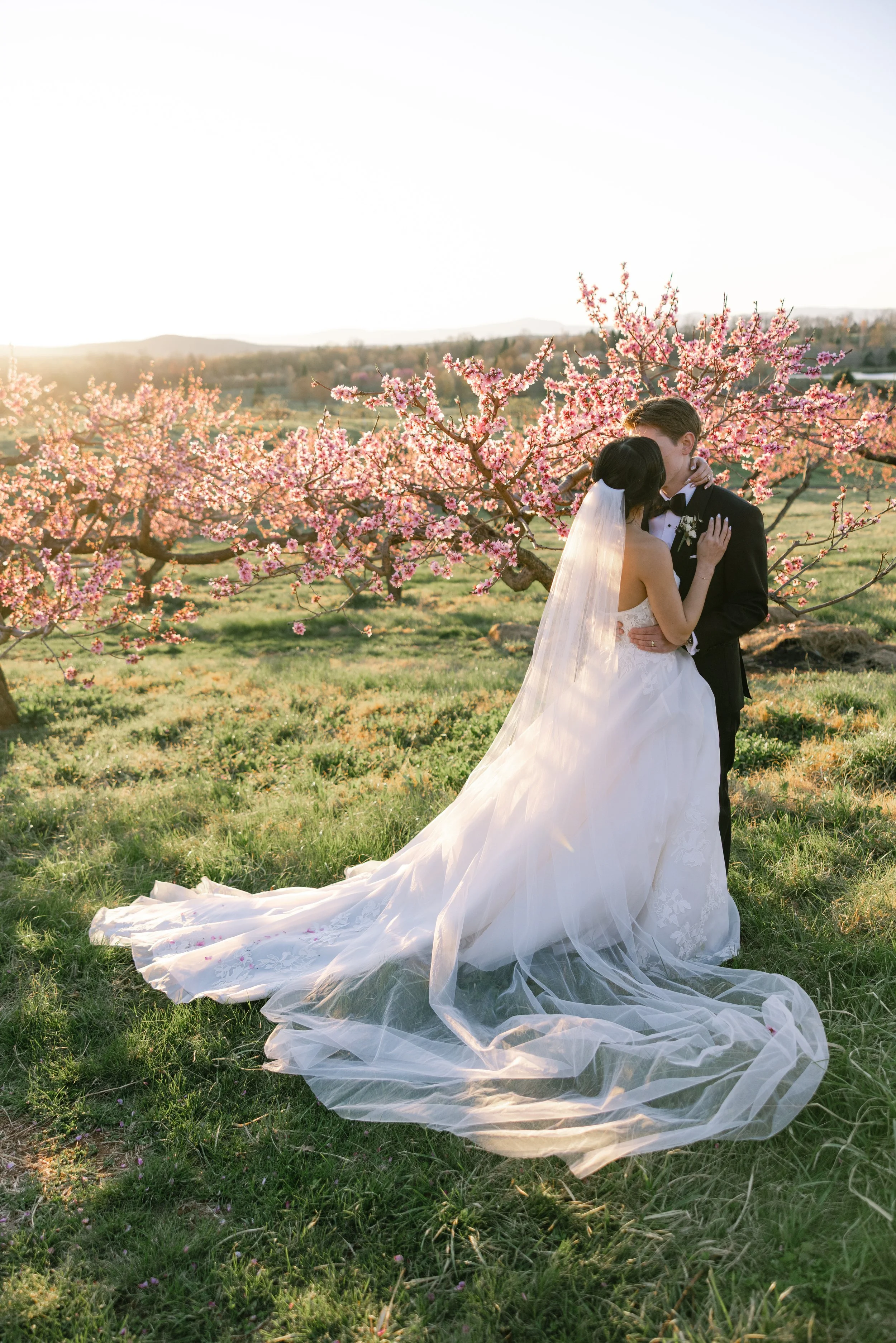 Laura_Matthew_wedding_charlottesvillevirginia_wedding_photographer_thelehmancollective-2325.jpg