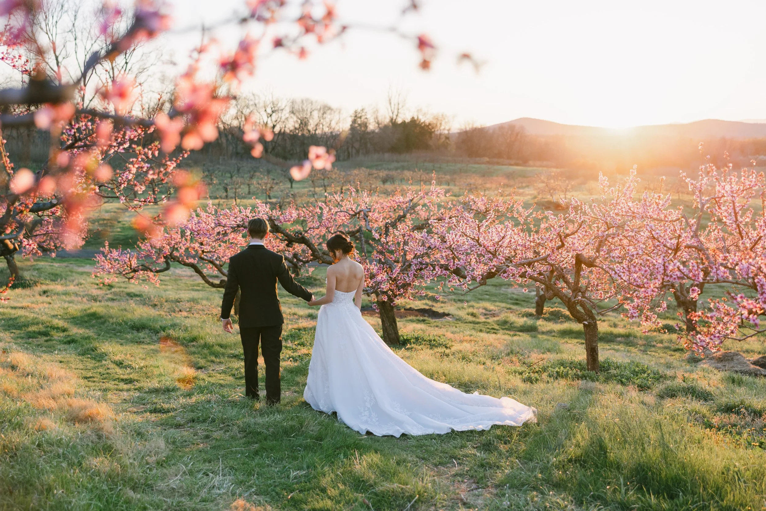 Laura_Matthew_wedding_charlottesvillevirginia_wedding_photographer_thelehmancollective-2468.jpg