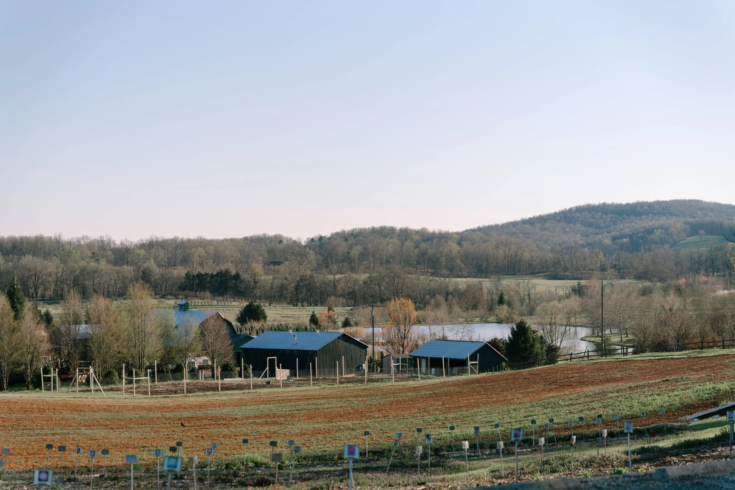 Laura_Matthew_wedding_charlottesvillevirginia_wedding_photographer_thelehmancollective-02776.jpg