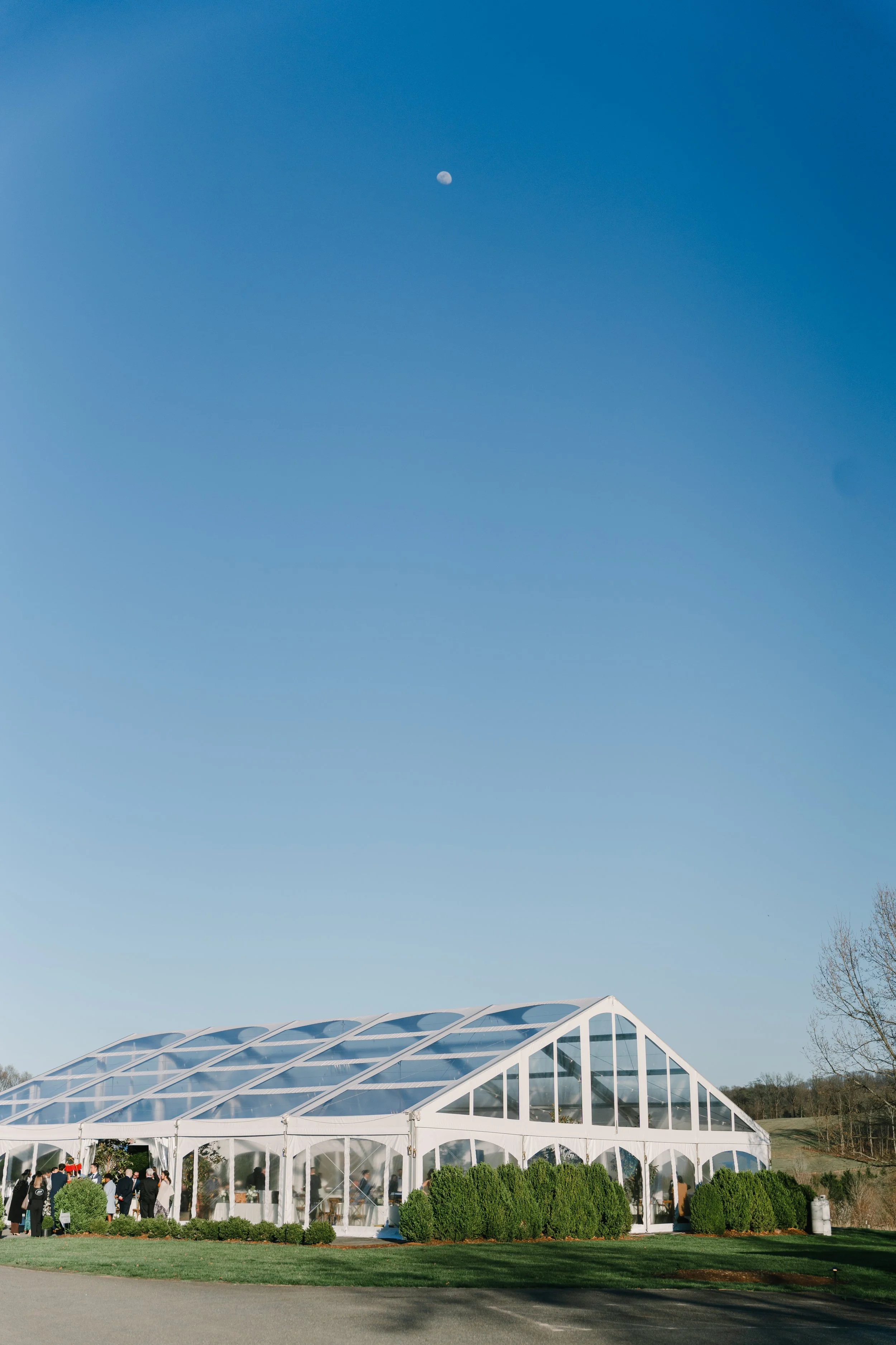Laura_Matthew_wedding_charlottesvillevirginia_wedding_photographer_thelehmancollective-02778.jpg