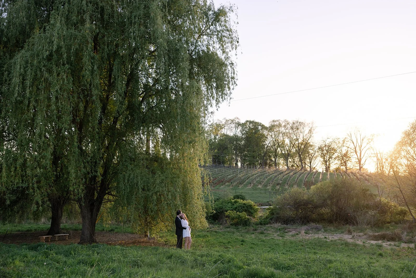 Ashley_Adrien_engagement_TheMarketatGrelen_charlottesvillevirginia_wedding_photographer_thelehmancollective-4818.jpg