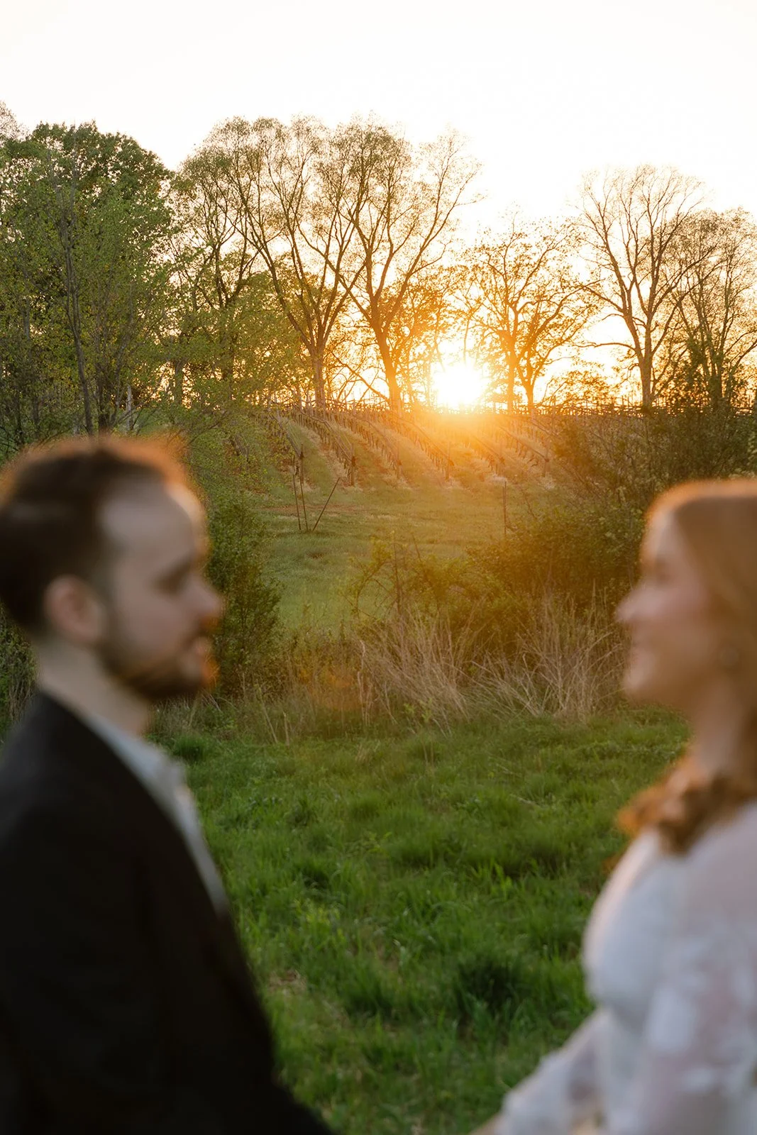 Ashley_Adrien_engagement_TheMarketatGrelen_charlottesvillevirginia_wedding_photographer_thelehmancollective-4911.jpg