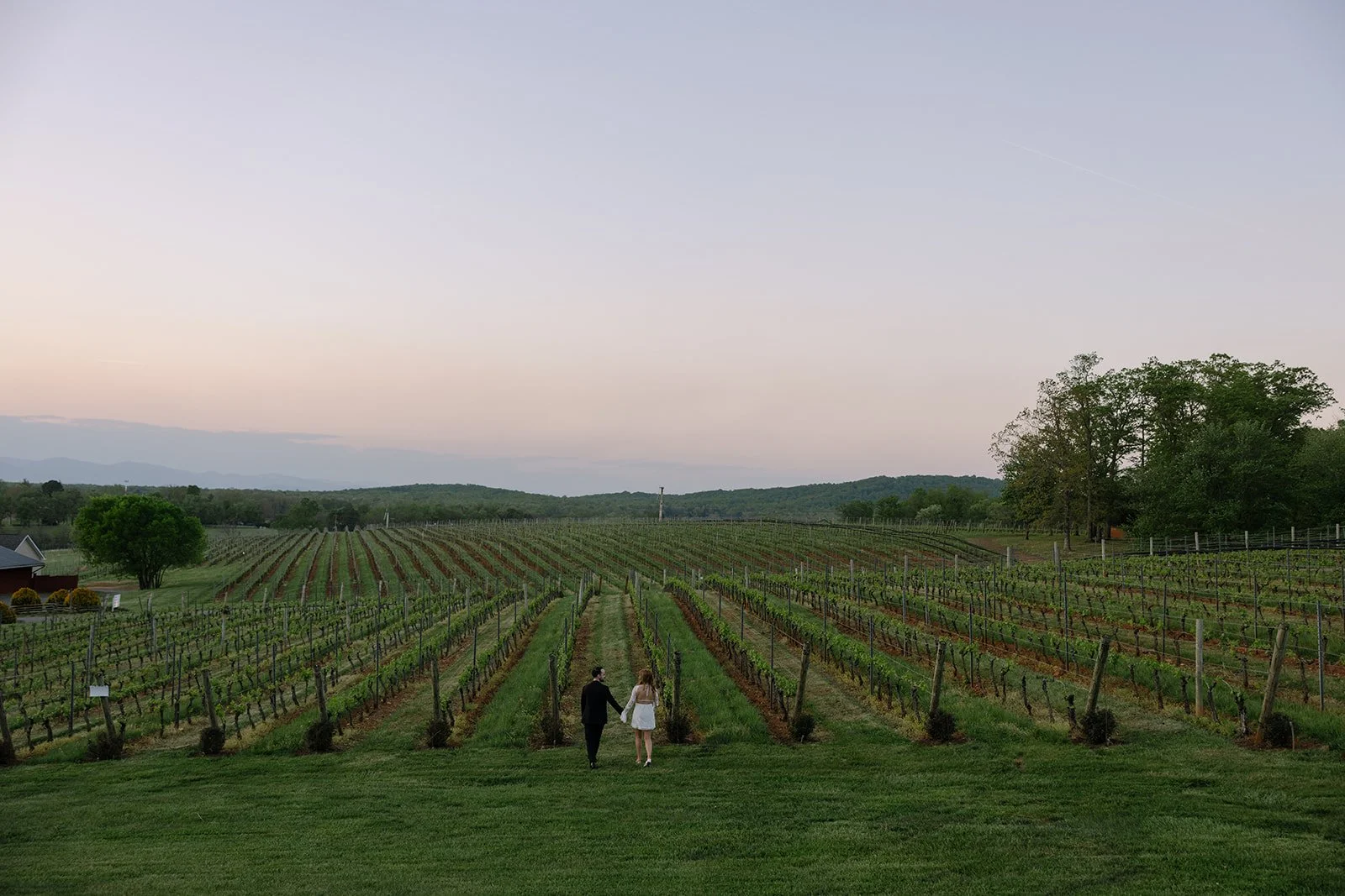Ashley_Adrien_engagement_TheMarketatGrelen_charlottesvillevirginia_wedding_photographer_thelehmancollective-5079.jpg