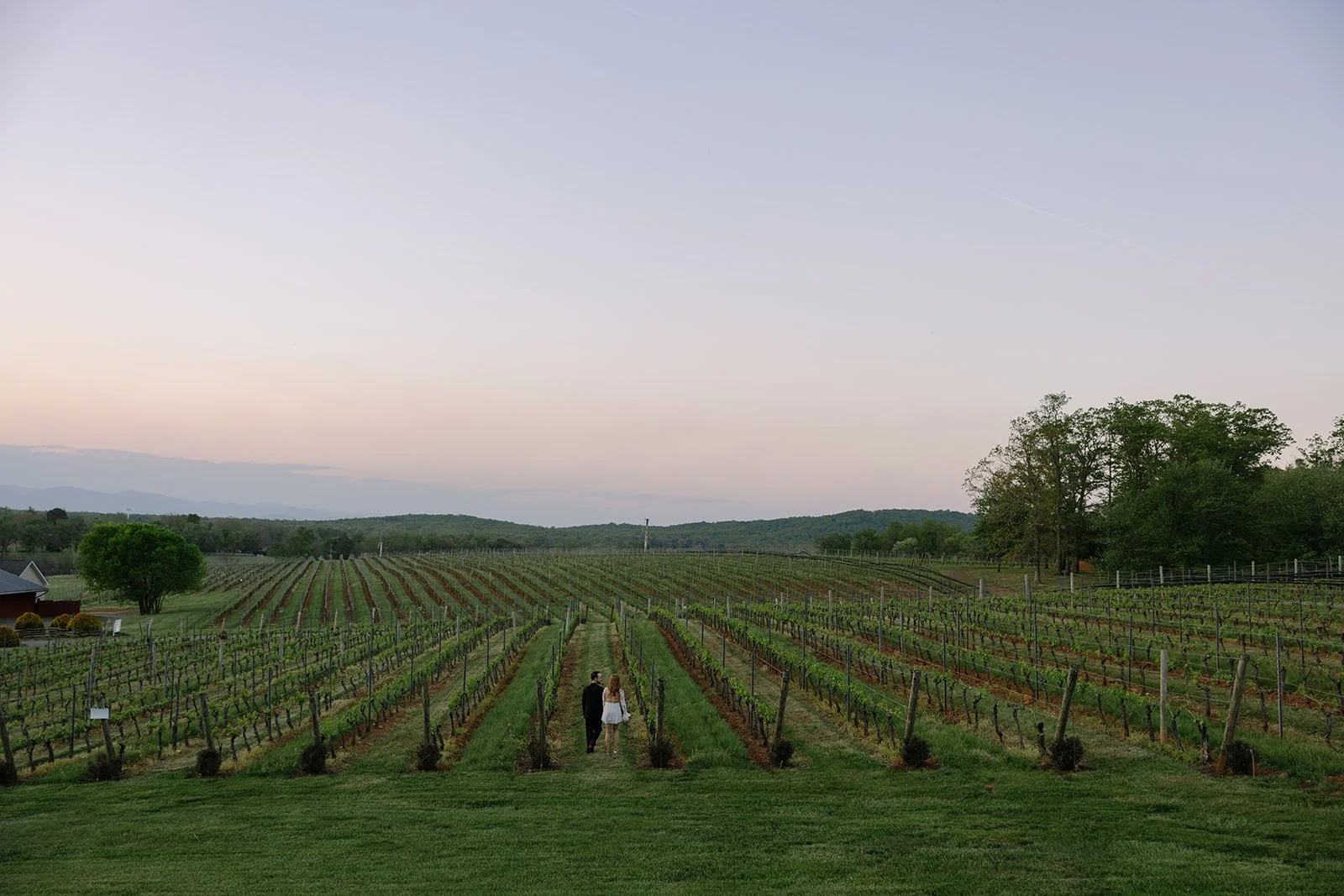 Ashley_Adrien_engagement_TheMarketatGrelen_charlottesvillevirginia_wedding_photographer_thelehmancollective-5086.jpg