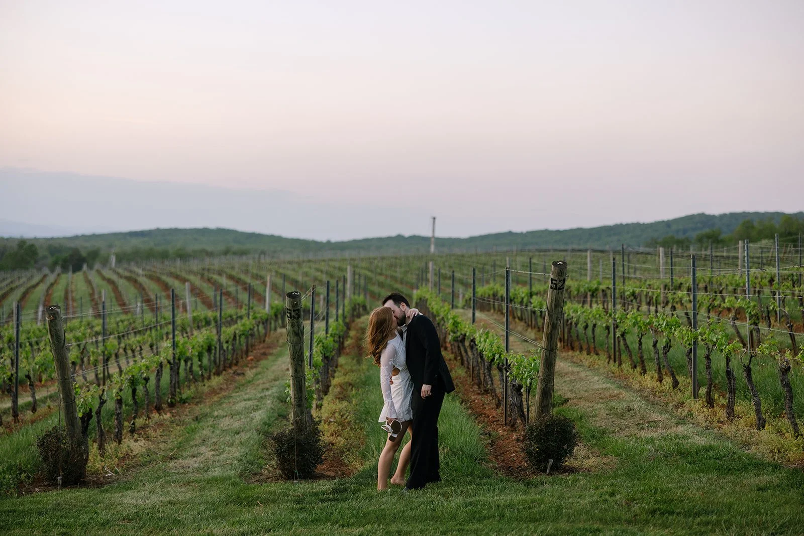 Ashley_Adrien_engagement_TheMarketatGrelen_charlottesvillevirginia_wedding_photographer_thelehmancollective-5190.jpg