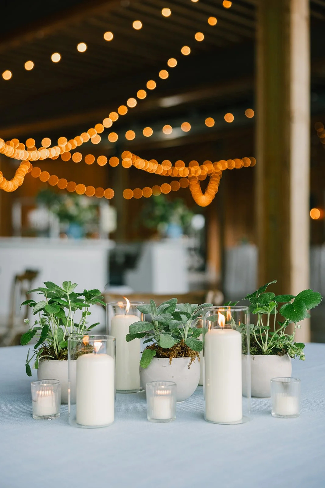 Hannah_Rose_eventdesign_castle_hill_charlottesvillevirginia_wedding_photographer_thelehmancollective-9703.jpg