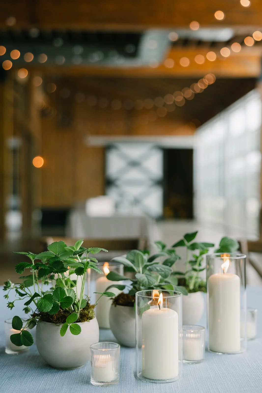 Hannah_Rose_eventdesign_castle_hill_charlottesvillevirginia_wedding_photographer_thelehmancollective-9705.jpg