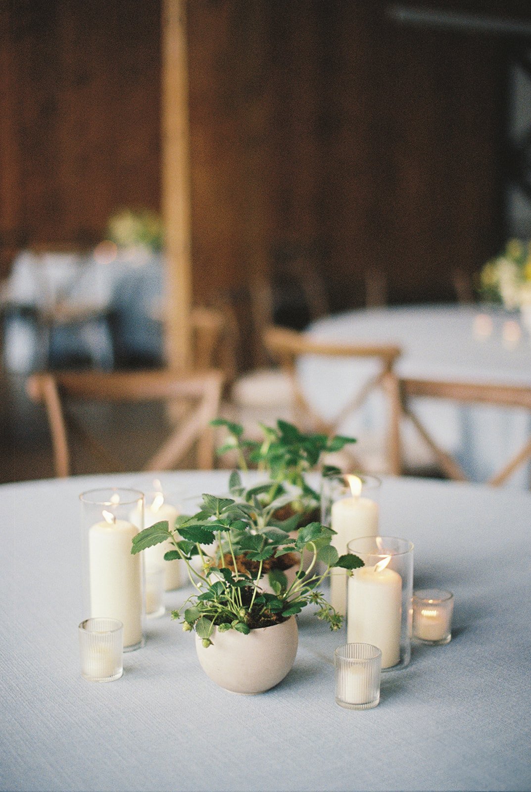HannahRoseEventDesign_castlehill_charlottesvillevirginiaphotographer_thelehmancollective-2241.jpg
