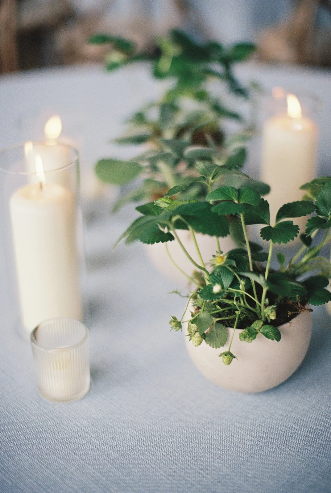 HannahRoseEventDesign_castlehill_charlottesvillevirginiaphotographer_thelehmancollective-2242.jpg