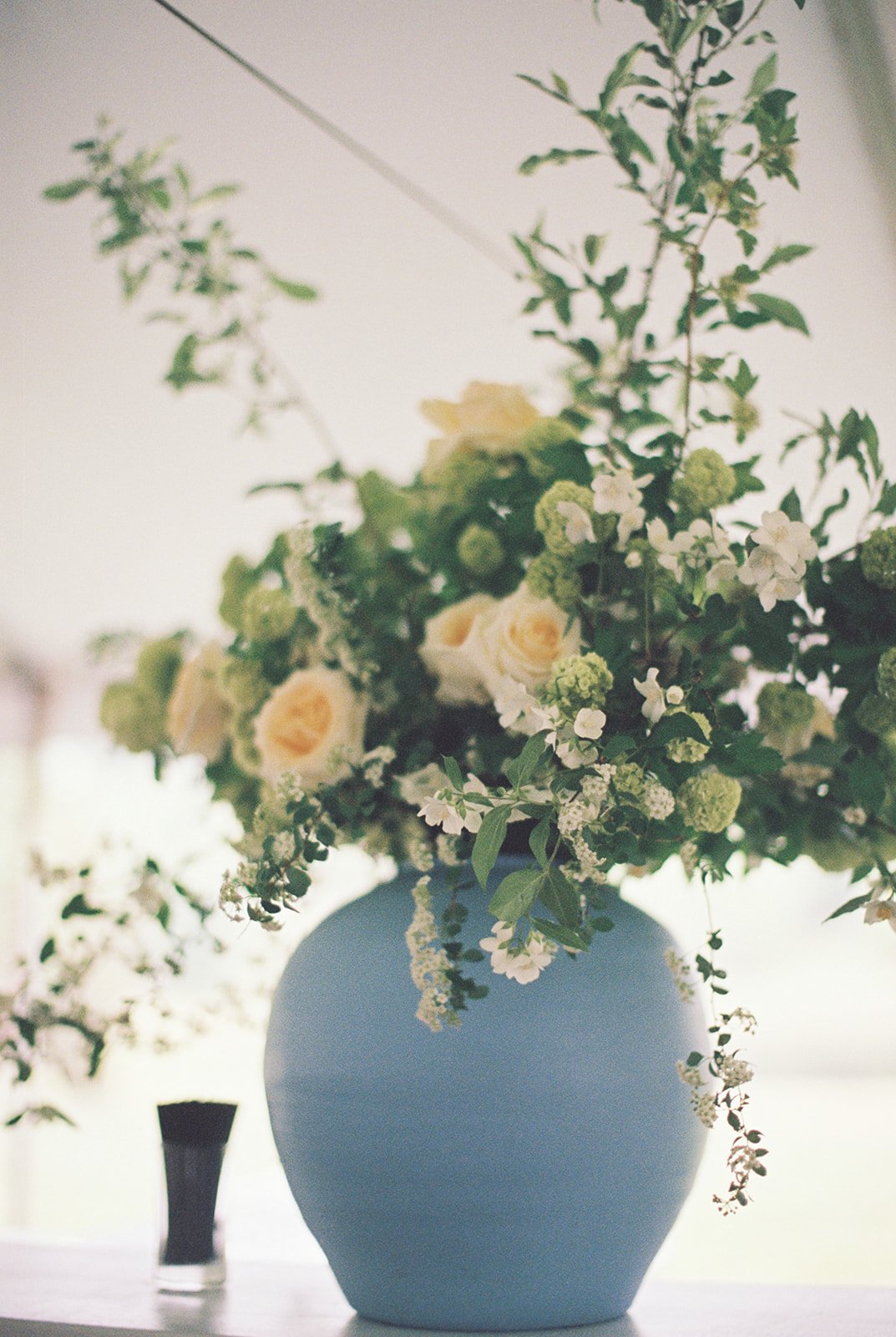 HannahRoseEventDesign_castlehill_charlottesvillevirginiaphotographer_thelehmancollective-2247.jpg