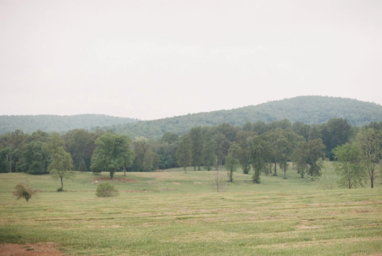 HannahRoseEventDesign_castlehill_charlottesvillevirginiaphotographer_thelehmancollective-2249.jpg