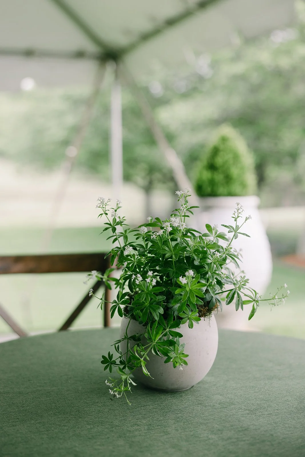 Hannah_Rose_eventdesign_castle_hill_charlottesvillevirginia_wedding_photographer_thelehmancollective-9796.jpg