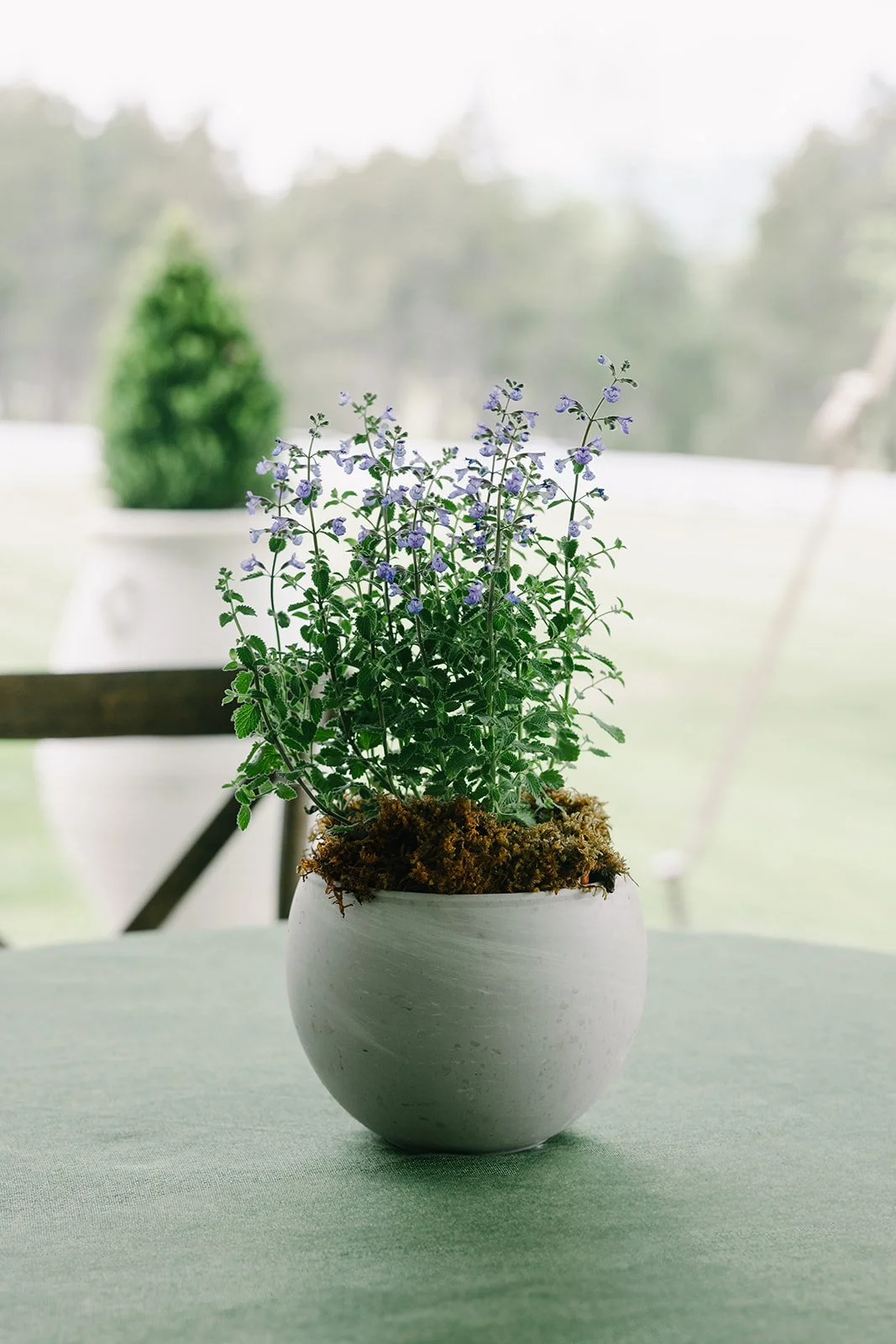 Hannah_Rose_eventdesign_castle_hill_charlottesvillevirginia_wedding_photographer_thelehmancollective-9823.jpg