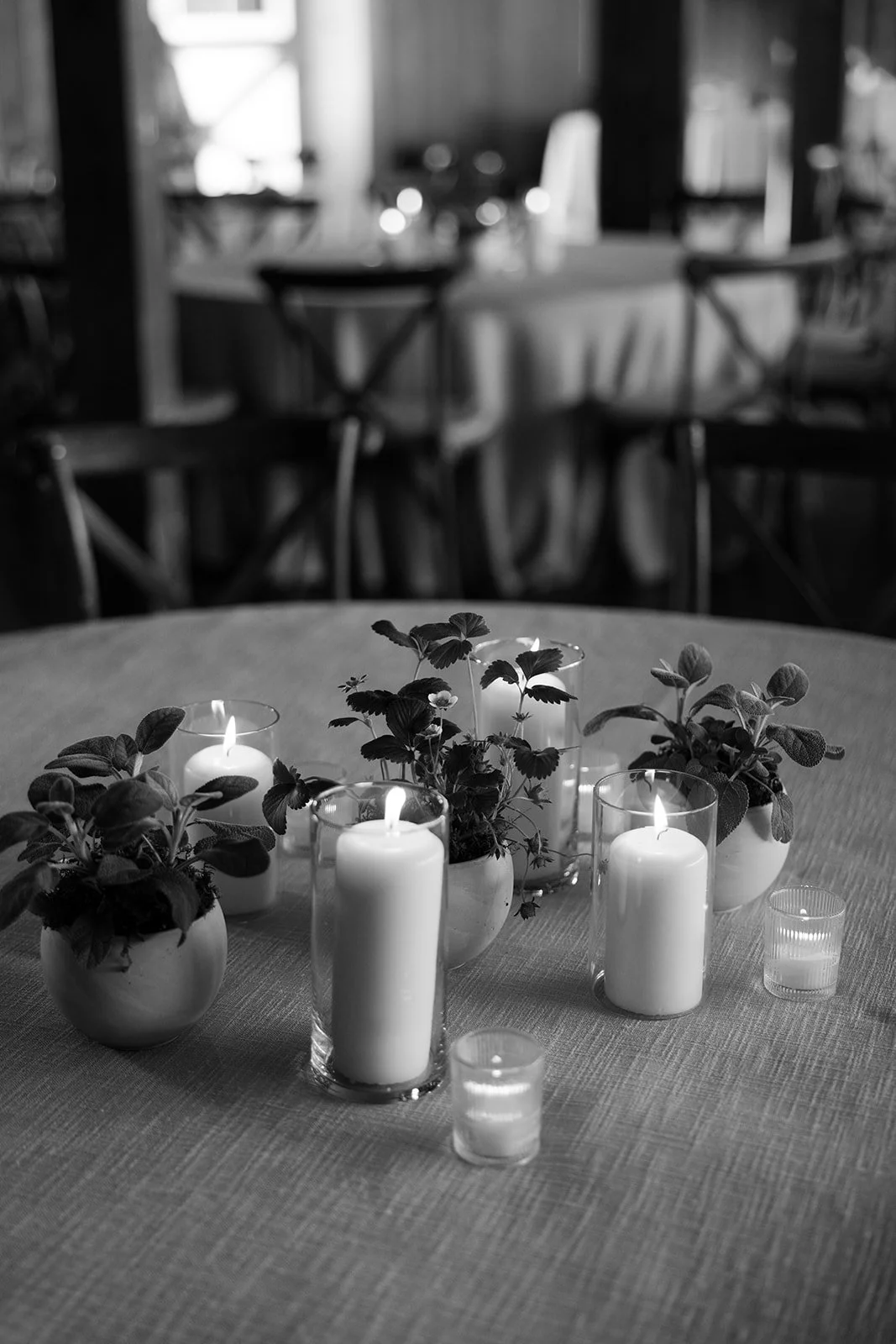 Hannah_Rose_eventdesign_castle_hill_charlottesvillevirginia_wedding_photographer_thelehmancollective-9946-2.jpg