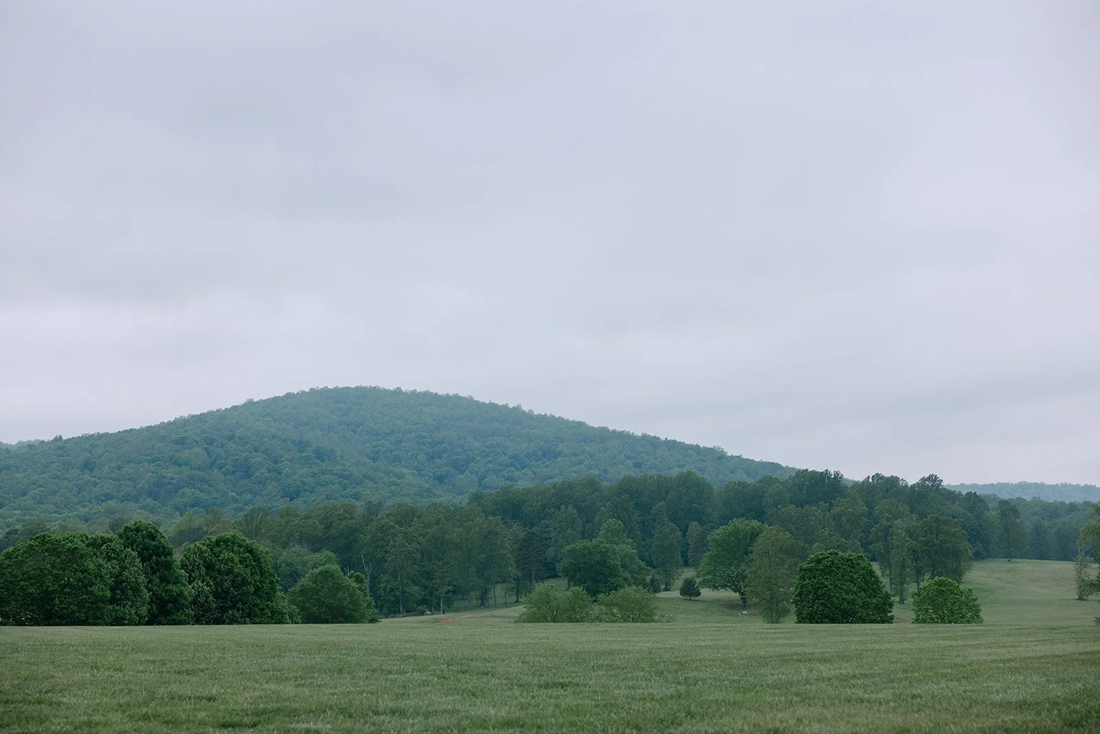 Hannah_Rose_eventdesign_castle_hill_charlottesvillevirginia_wedding_photographer_thelehmancollective-9950.jpg
