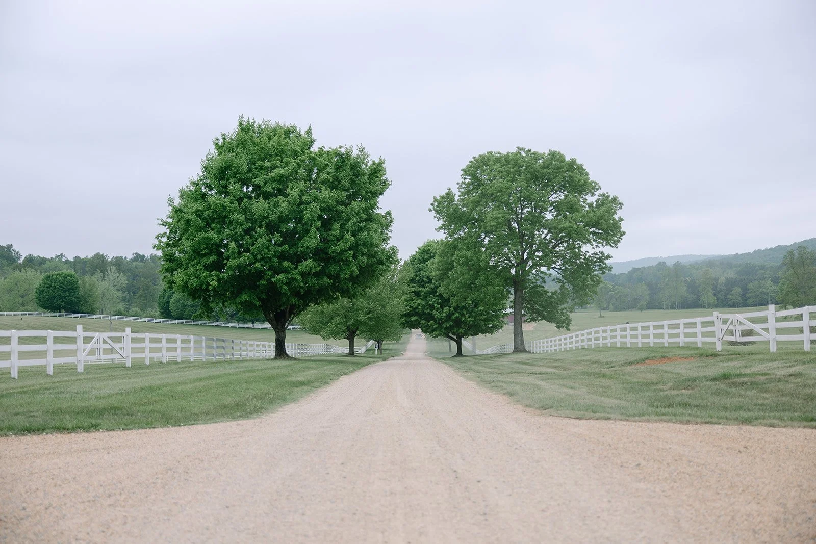 Hannah_Rose_eventdesign_castle_hill_charlottesvillevirginia_wedding_photographer_thelehmancollective-9951.jpg