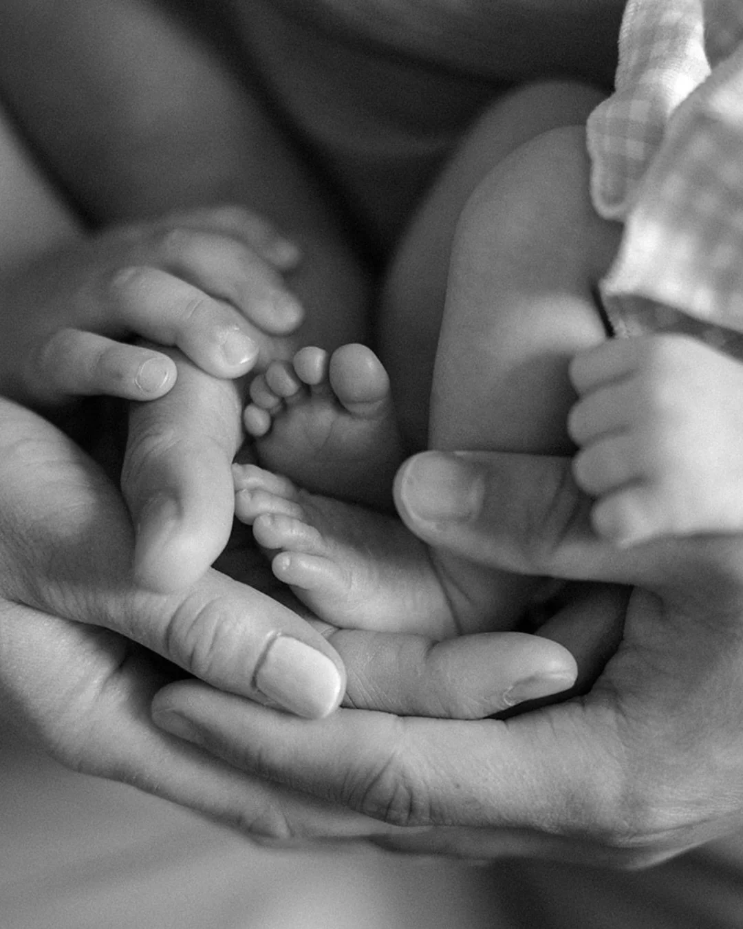 Sweet Iris&rsquo; newborn session with the whole fam🪿