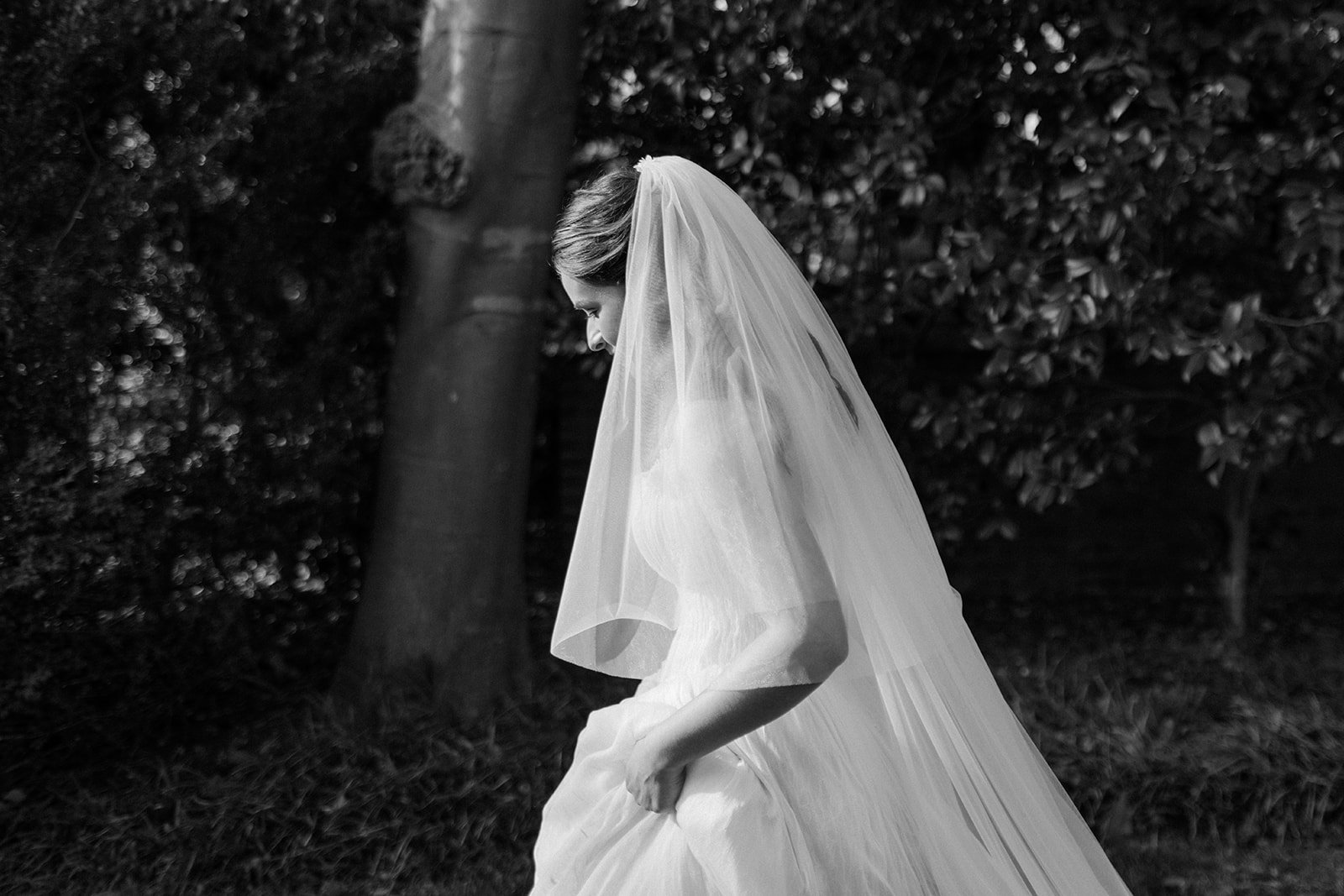 Nicole_Carlos_wedding_ridgeandramble-5940-2.jpg
