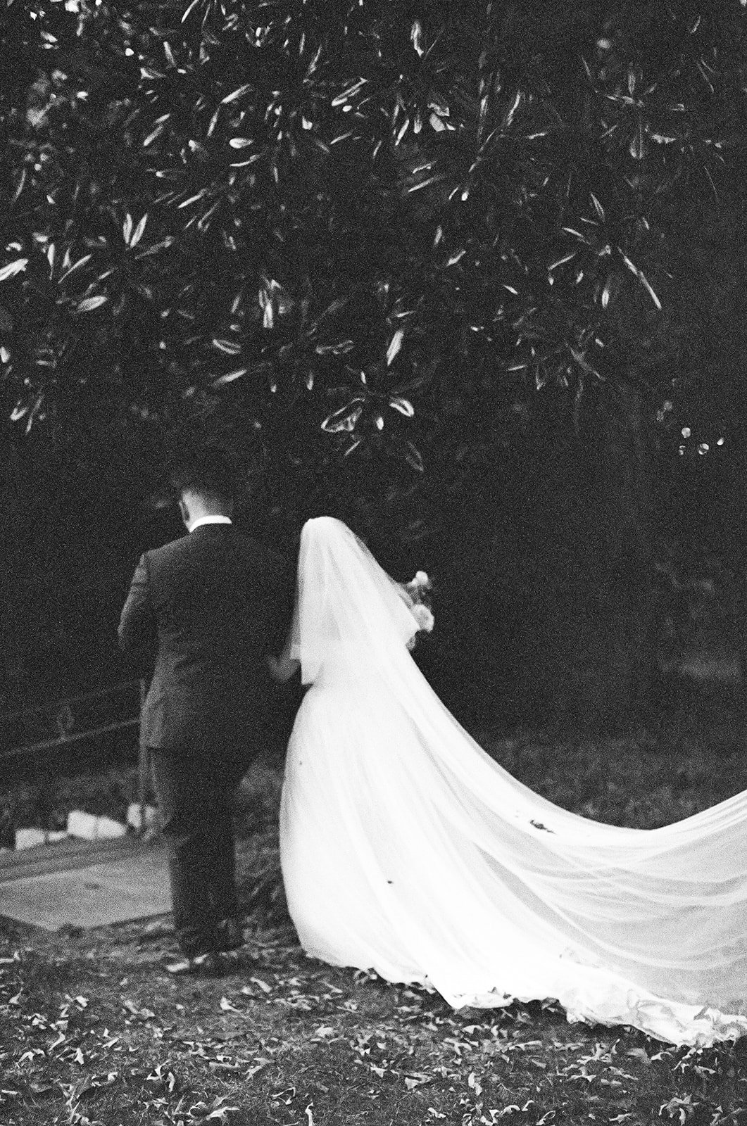 Nicole_Carlos_wedding_ridgeandramble-241209000314940032-2.jpg