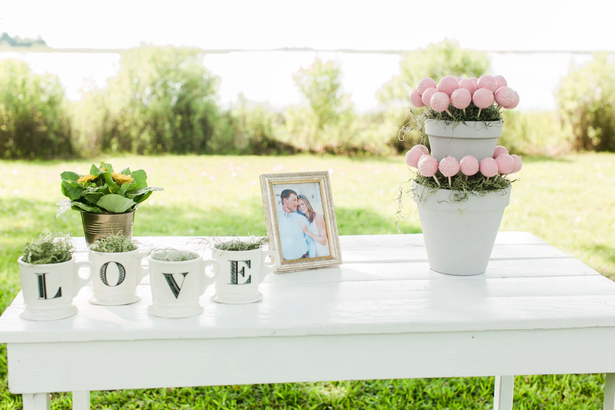 Bridal Shower Inspiration