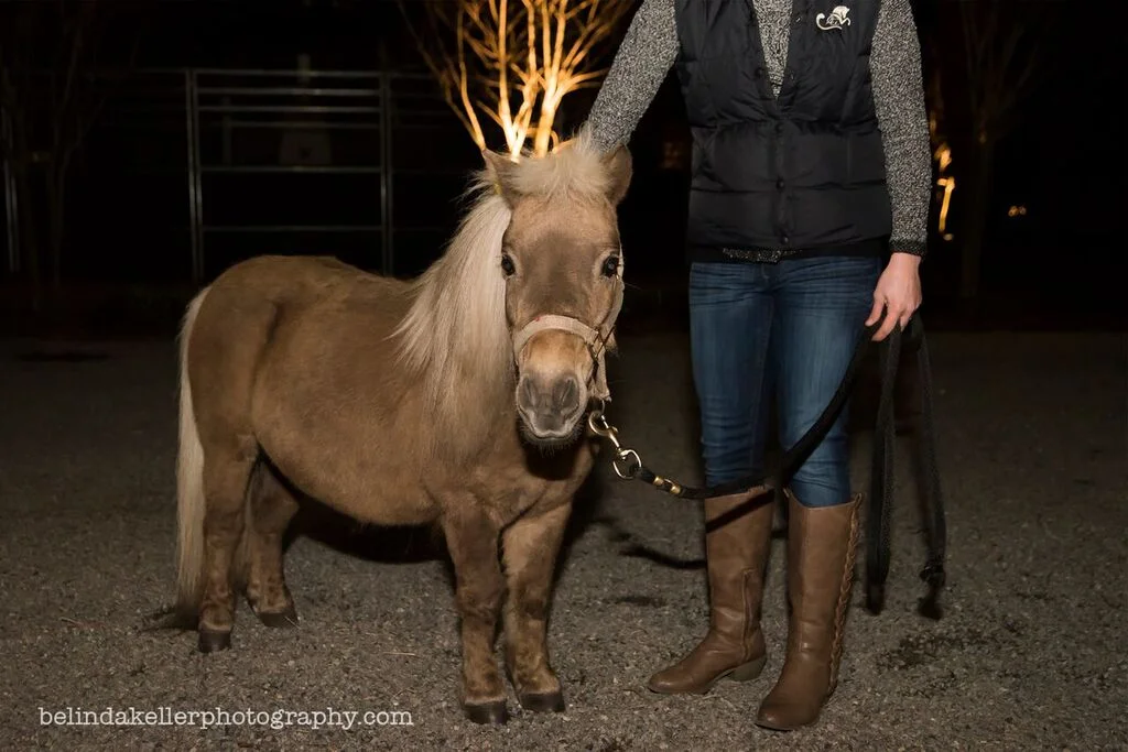 Winter Mixers and Mini Horses!